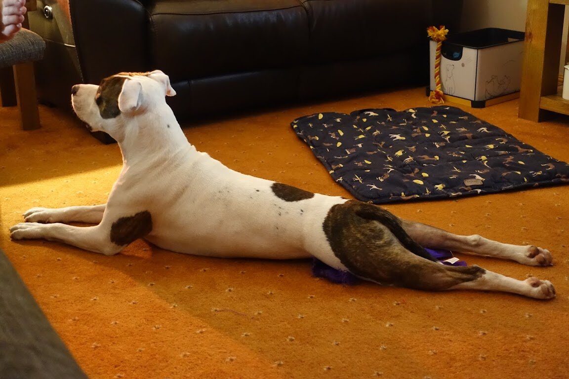 64204E92-93C5-4252-A7BA-832B76B546D1