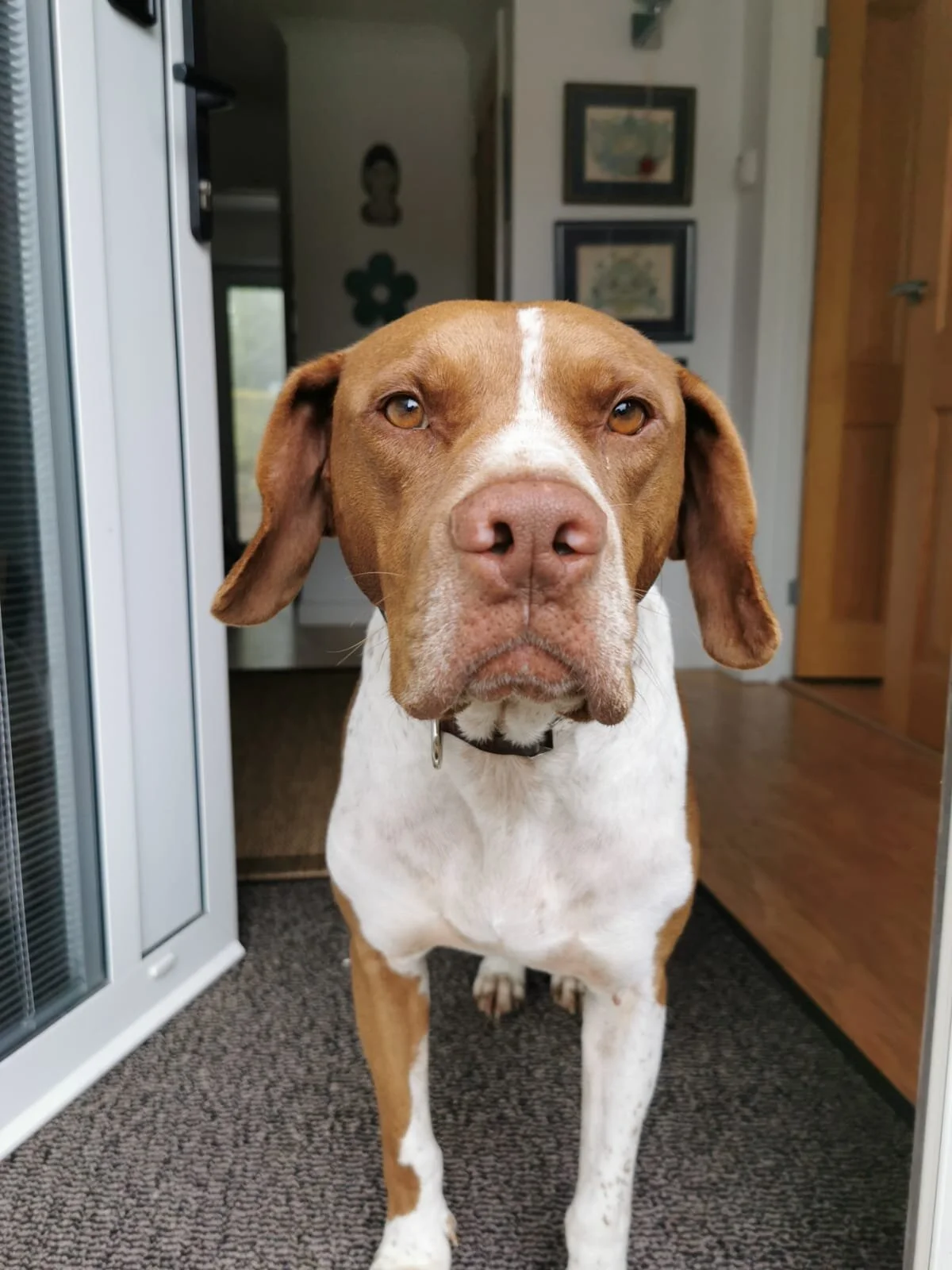 482DADE5-FF88-44E8-B6C3-83270E240DAB