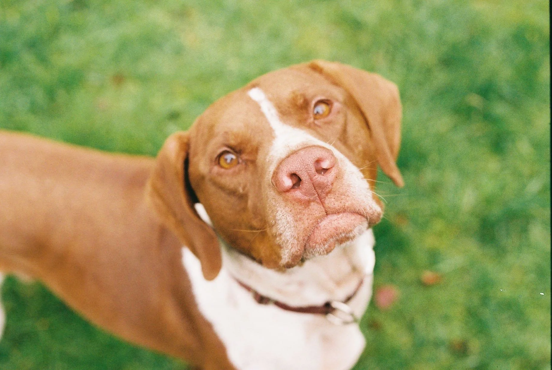 18CC1C40-34A9-4F06-AEDA-C7B6C620CAB0