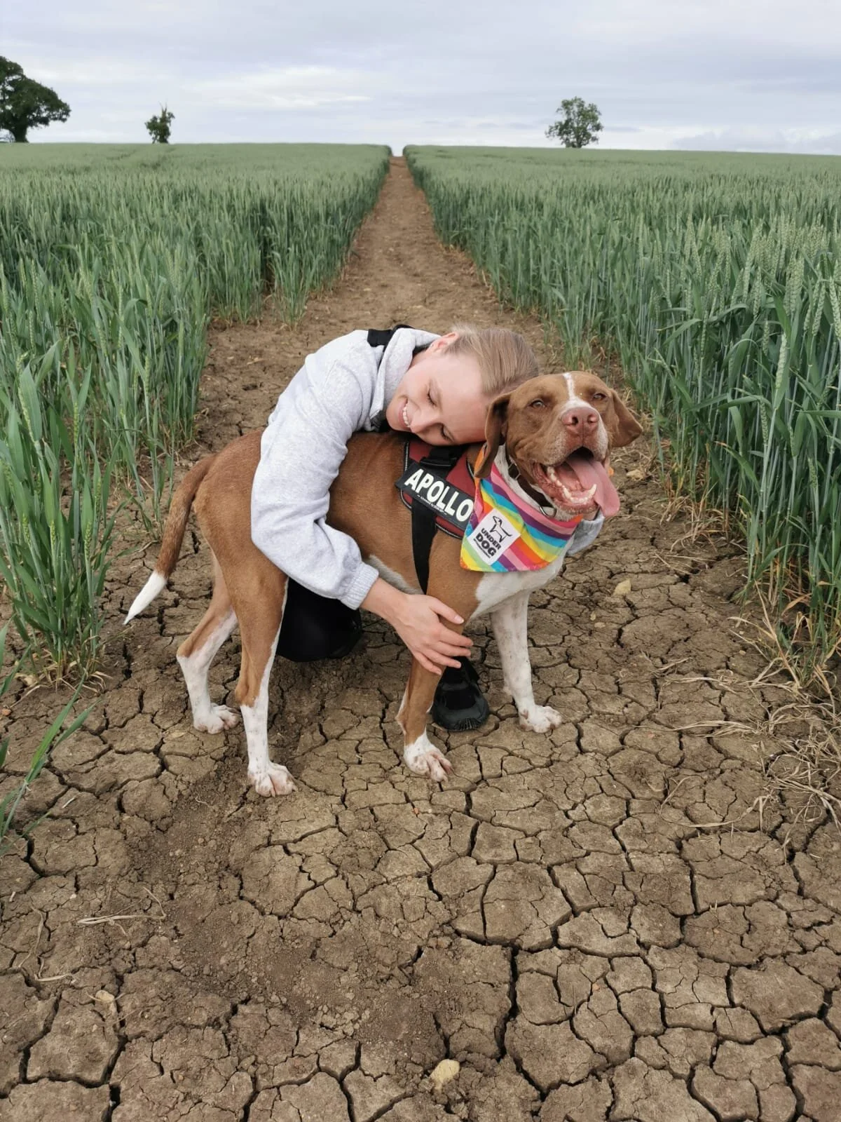 169C0CA3-870F-4CE4-92FF-3F630CB6B077