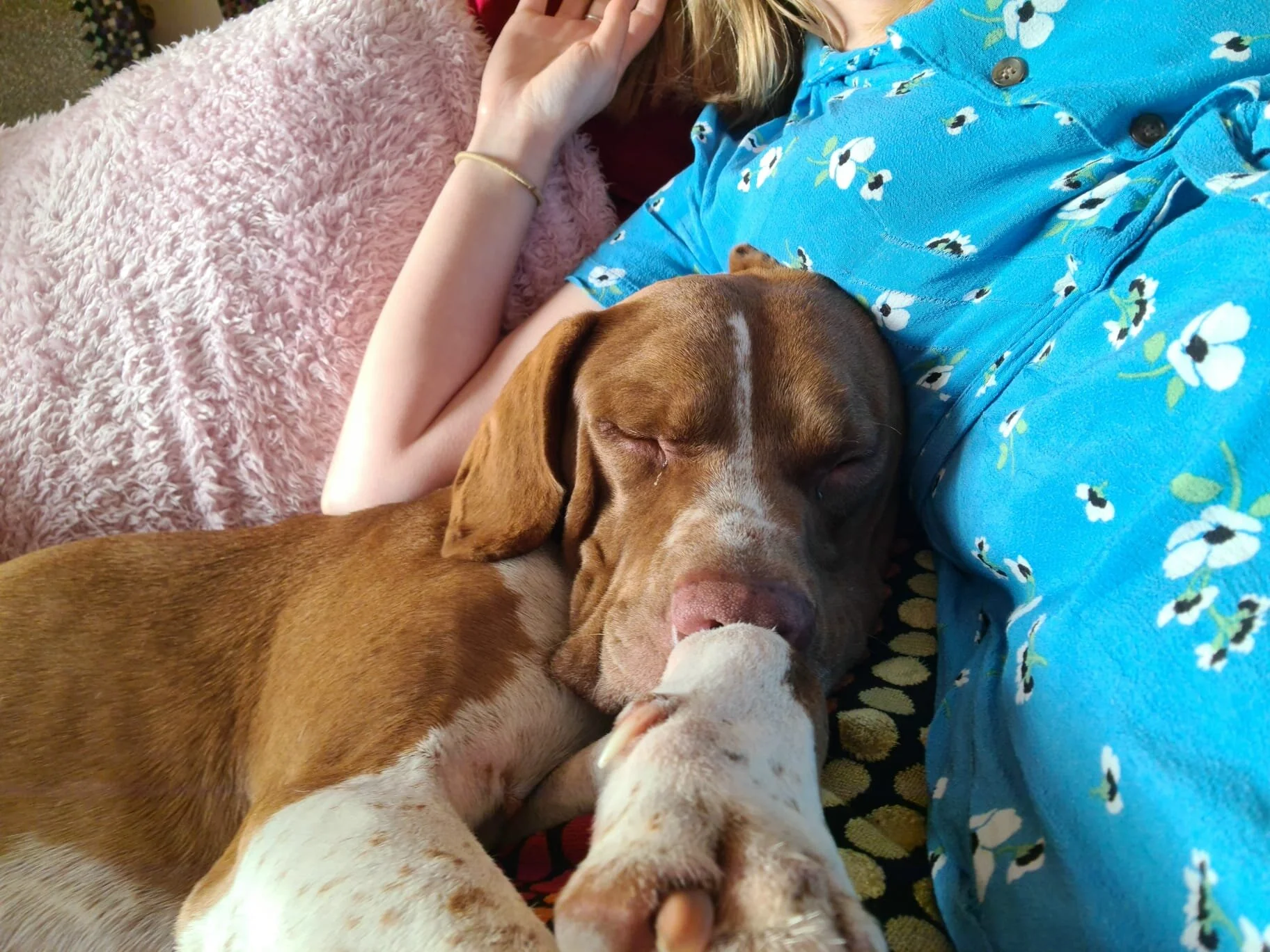 A2555C31-3426-47BC-9F4E-96937950265B