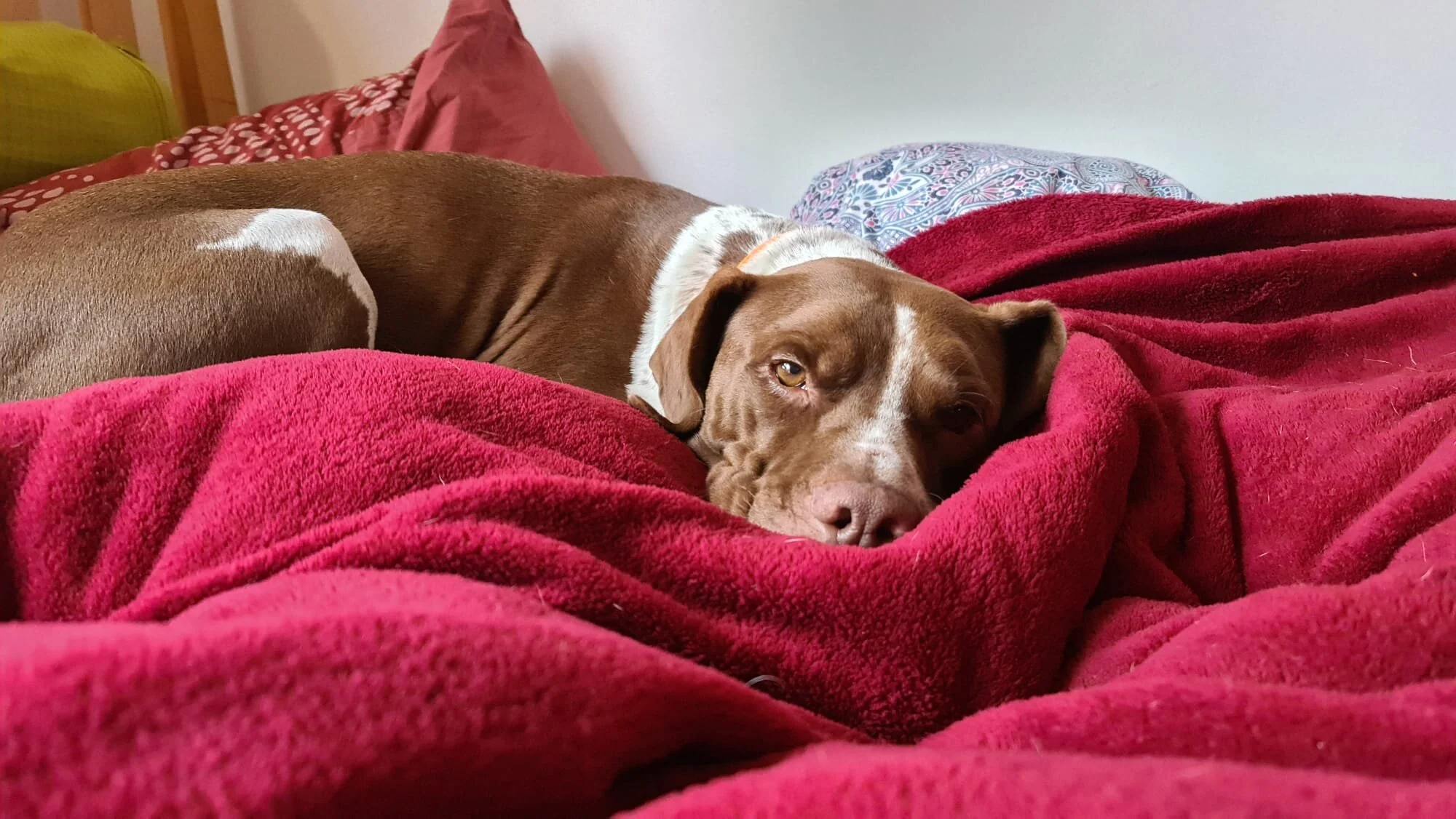 FD4EFF59-9E66-4C1E-8B4D-2D91E67898A7