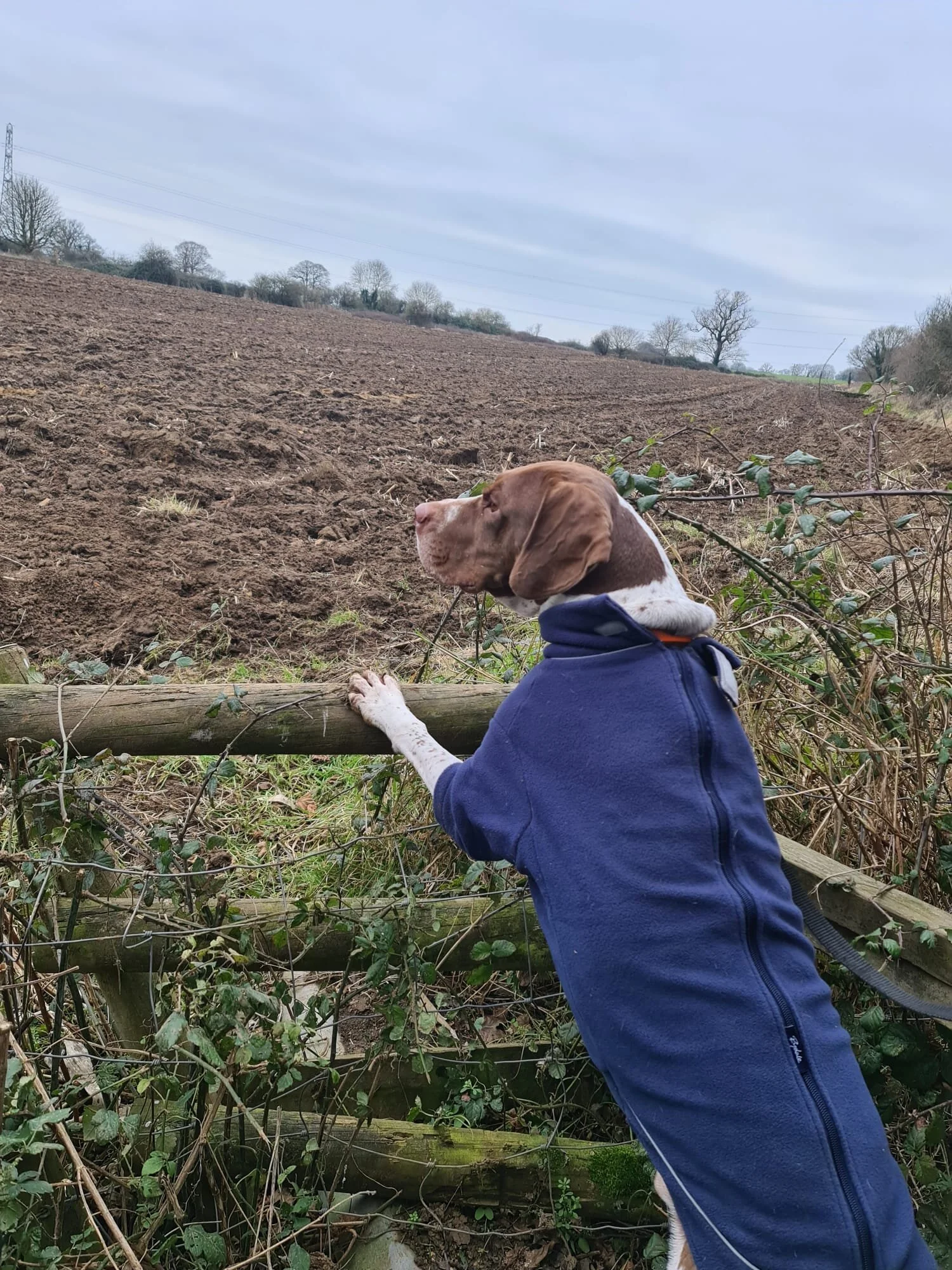 E29D282B-C769-48CE-9004-D9AE2E44B9F6