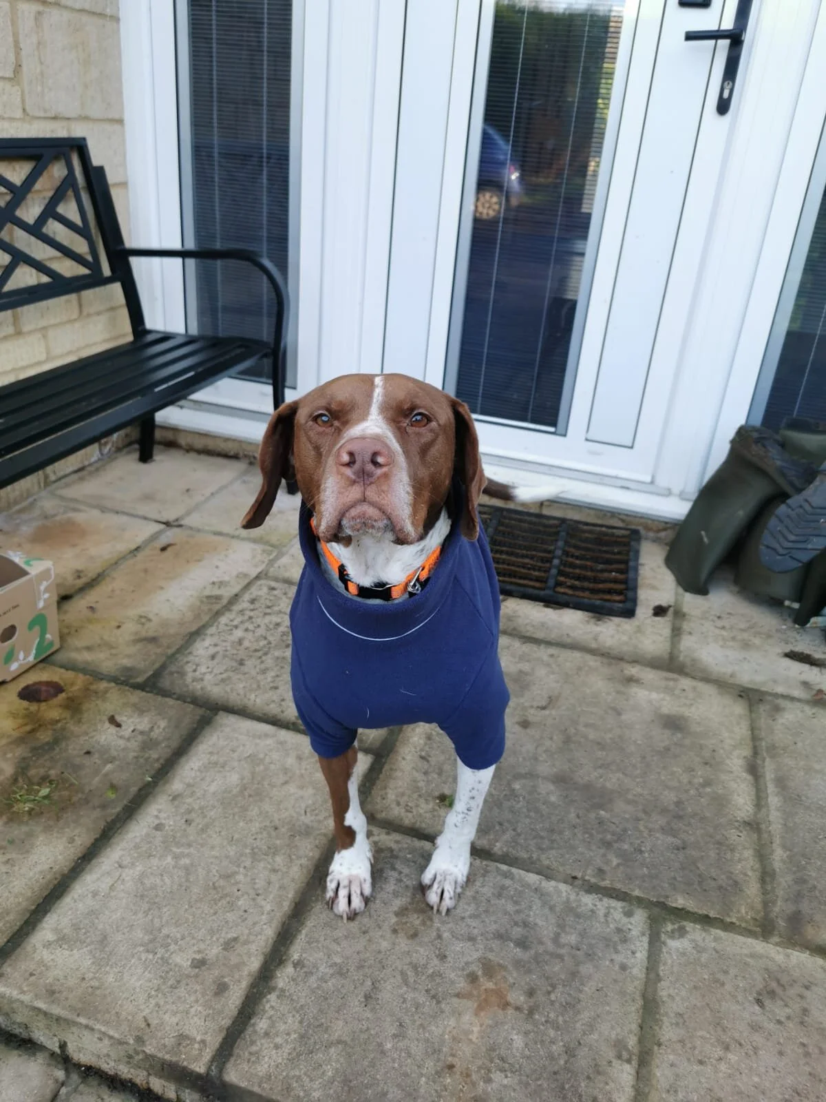 058F104E-0BFA-4516-A14E-EC5B336C8614