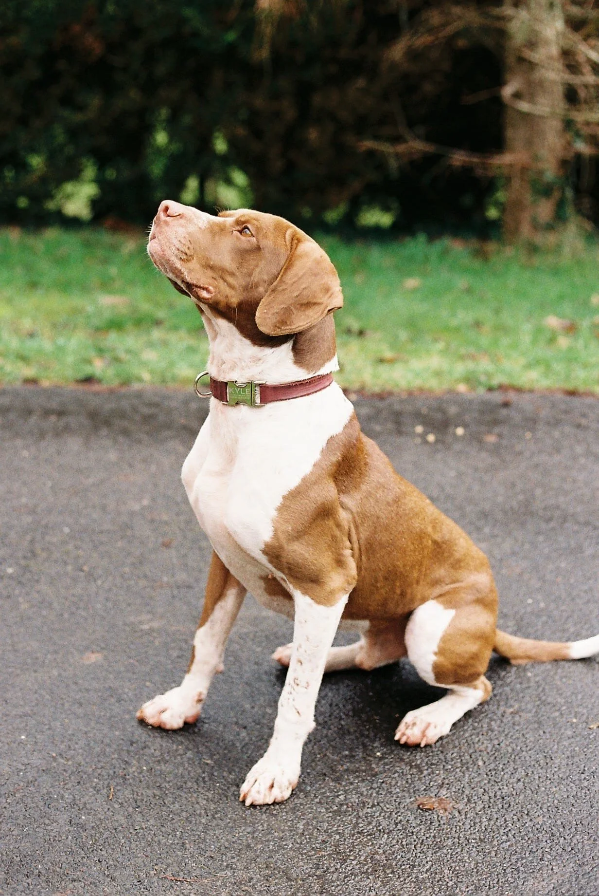 60F99CCE-2093-478D-8DD3-A8898C856E40