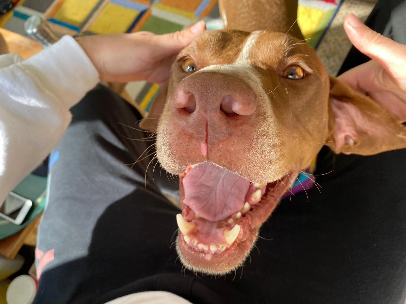 5030C967-6CB5-4E5E-955B-0ABDEC003DEE