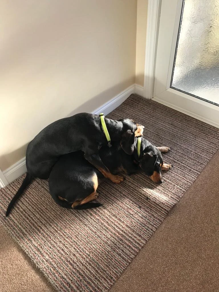 CD3C2615-BB24-4A62-AE02-5B95CAD8645D