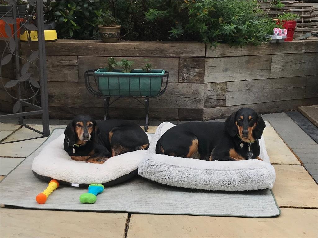 D8BBD1FA-F6D3-4CC4-AC5C-0A116C9A650D