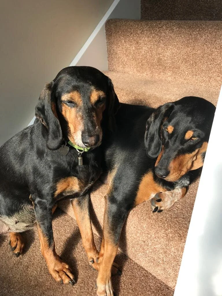 2EC61B96-3005-475C-A179-347A52D6FFC7