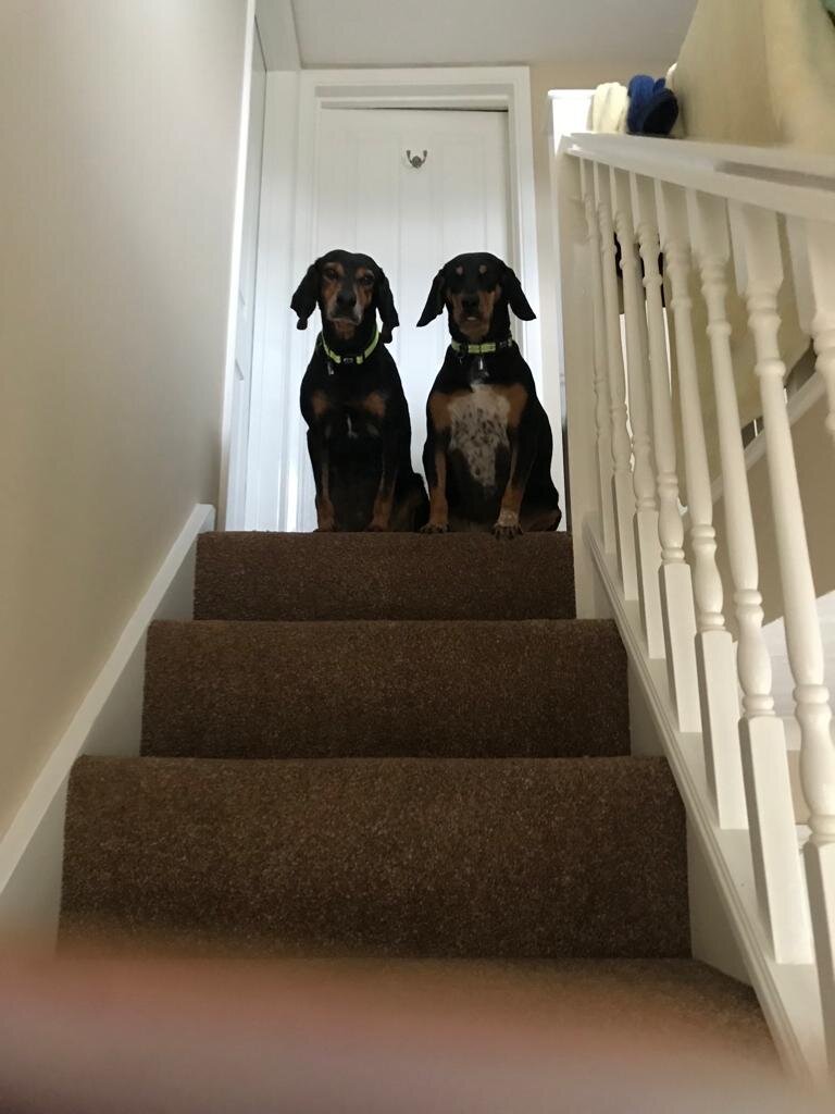 66F044A2-FB05-4035-9AEE-61D4FF8E044A