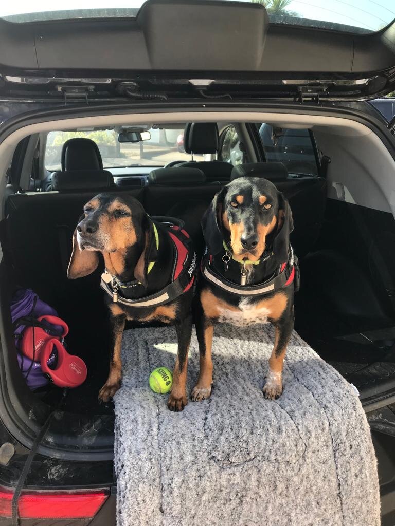 DA998DF6-A590-4150-B505-FAE6E8B29CB7