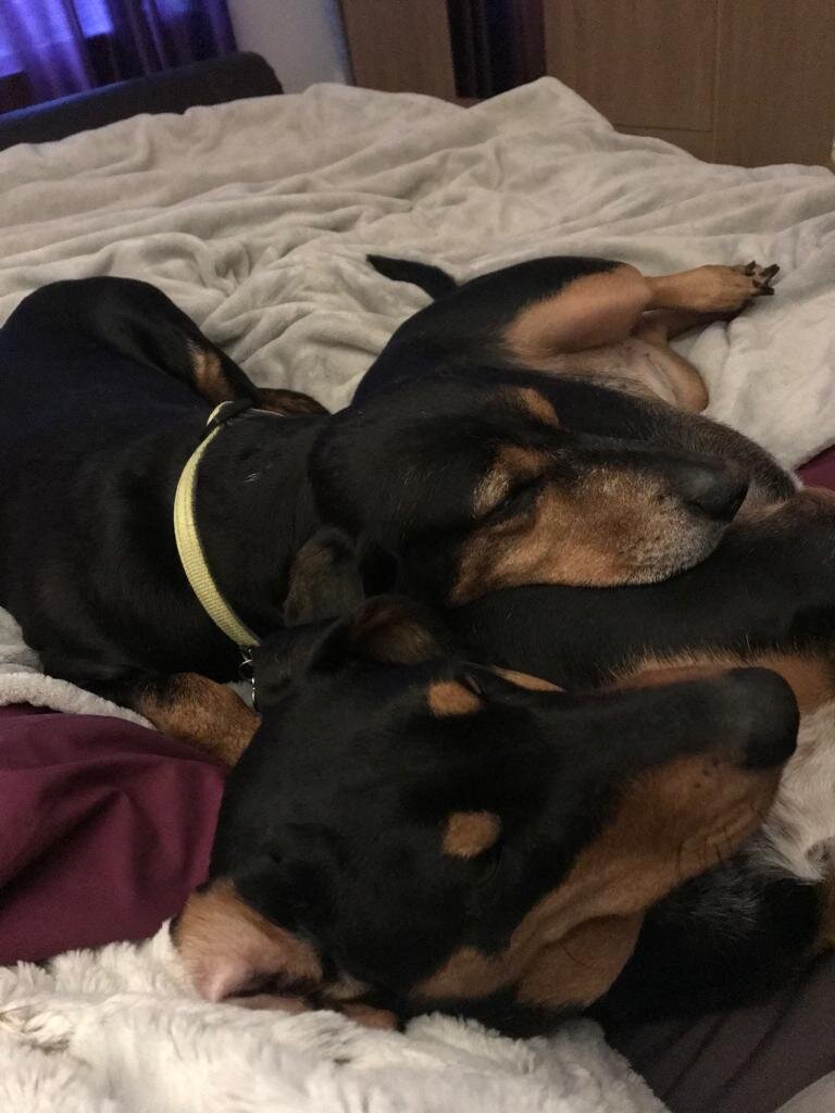 A285AF59-157E-45FC-9D76-CDB986ADC12F