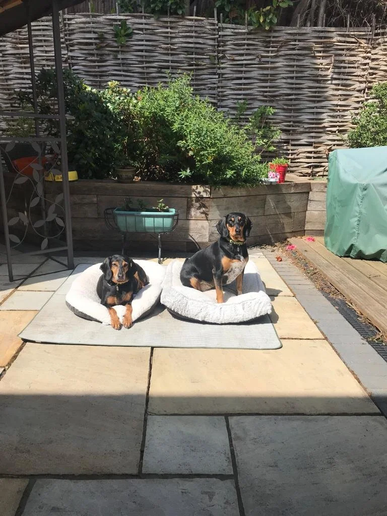 CB4F7763-5EEC-4D20-949B-95A24BC9E7C7