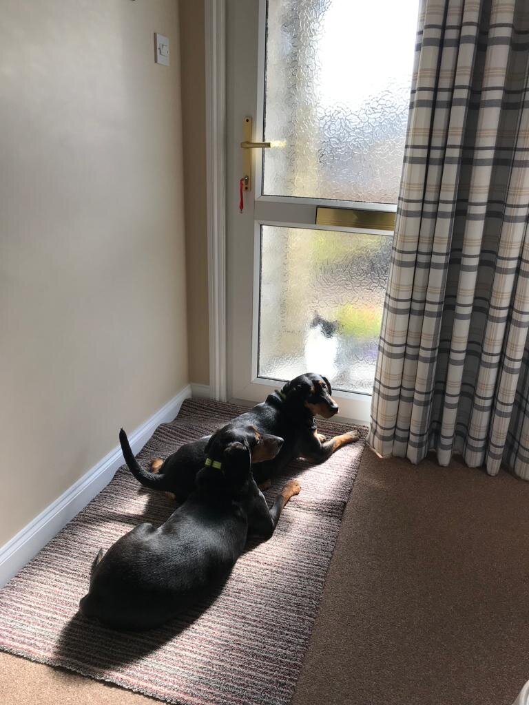 52DF2E4D-0CBC-4B76-89D8-2B68D05F5DCB