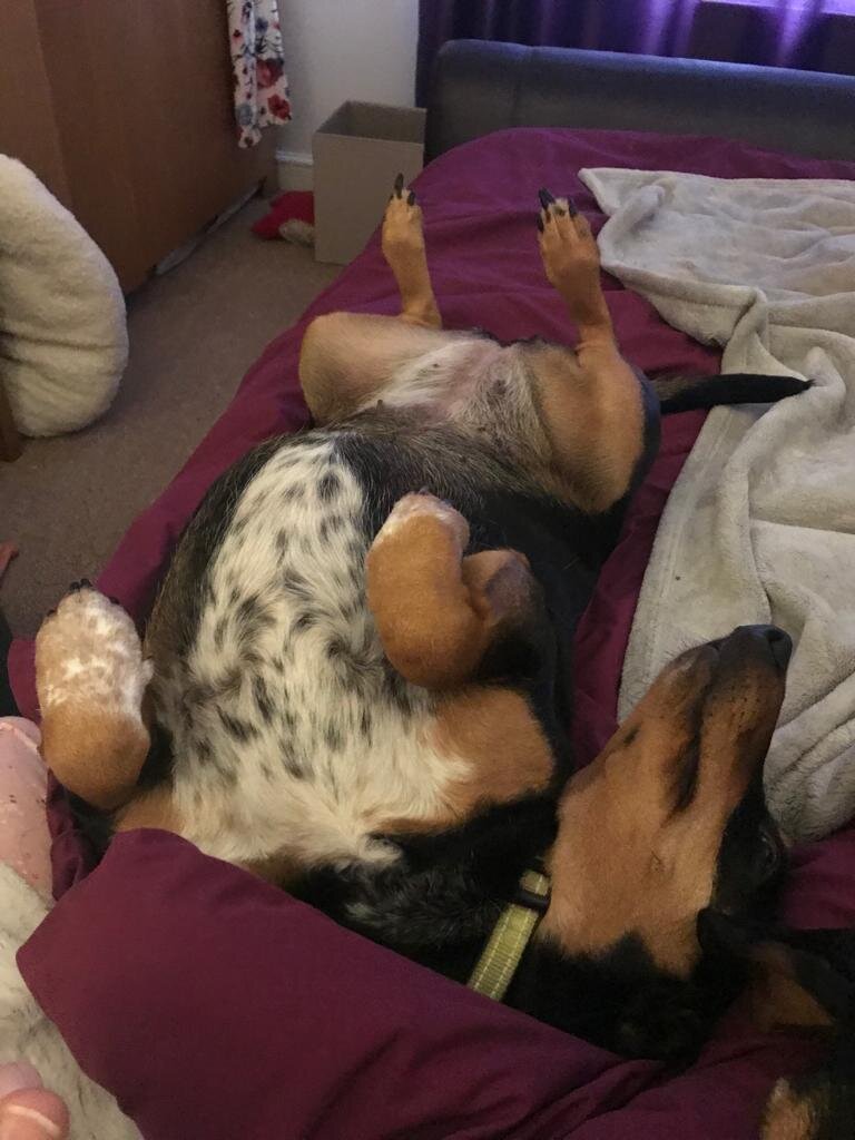 AA55CD02-94F7-4E70-8F55-3550B0DA67AB