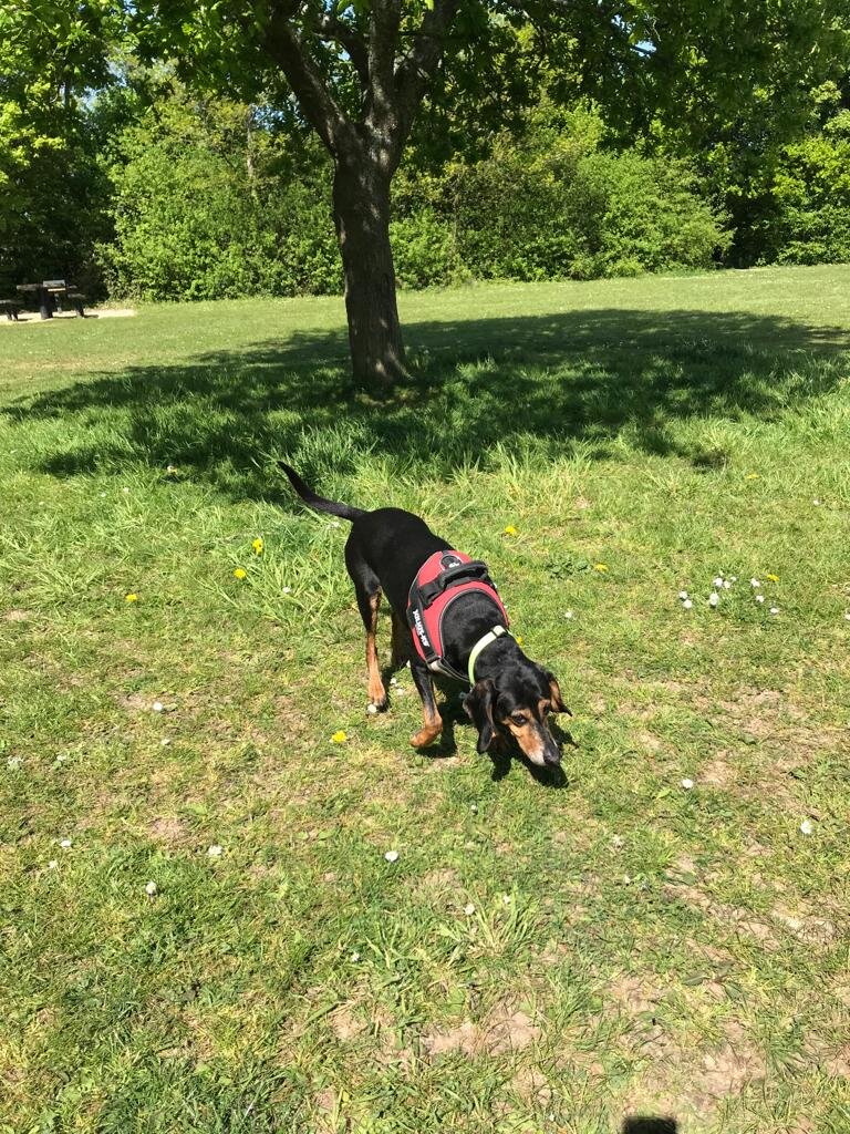 E1838193-5FF5-41DA-B2A1-2CF057989CF6