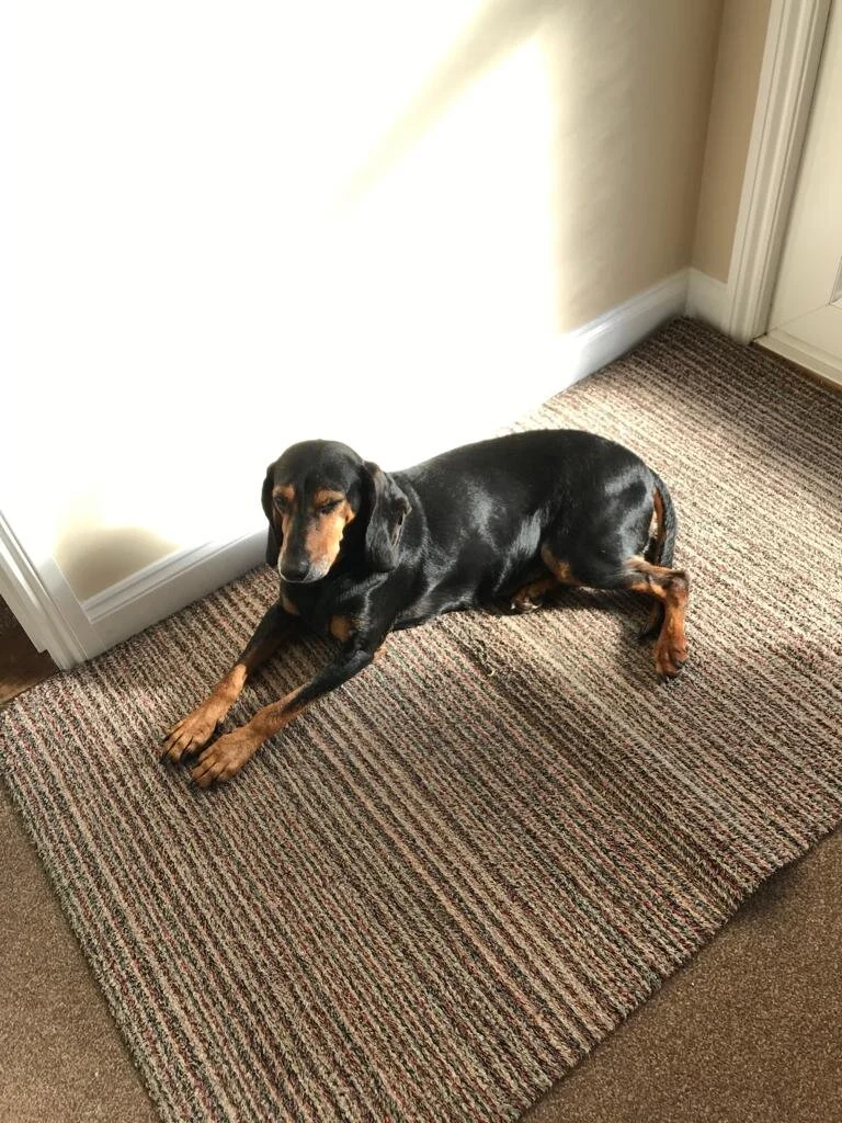 01BCC1FE-AE87-46D6-BF5F-B54F7905DDFC