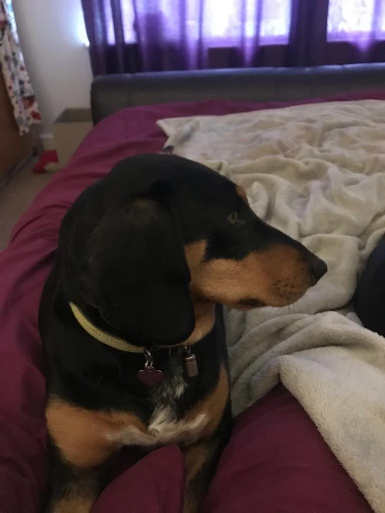 9186B48F-2C13-44F8-9251-60694D67D93C