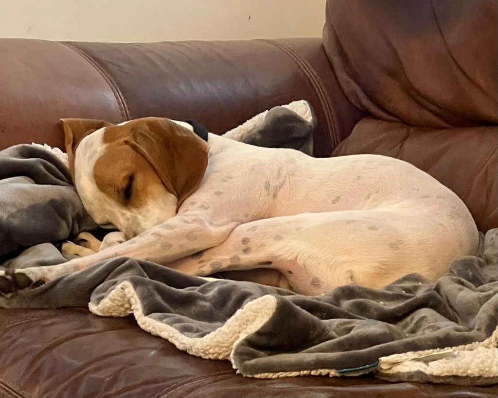 6C751567-100B-4468-8F1B-032749FC5FB4