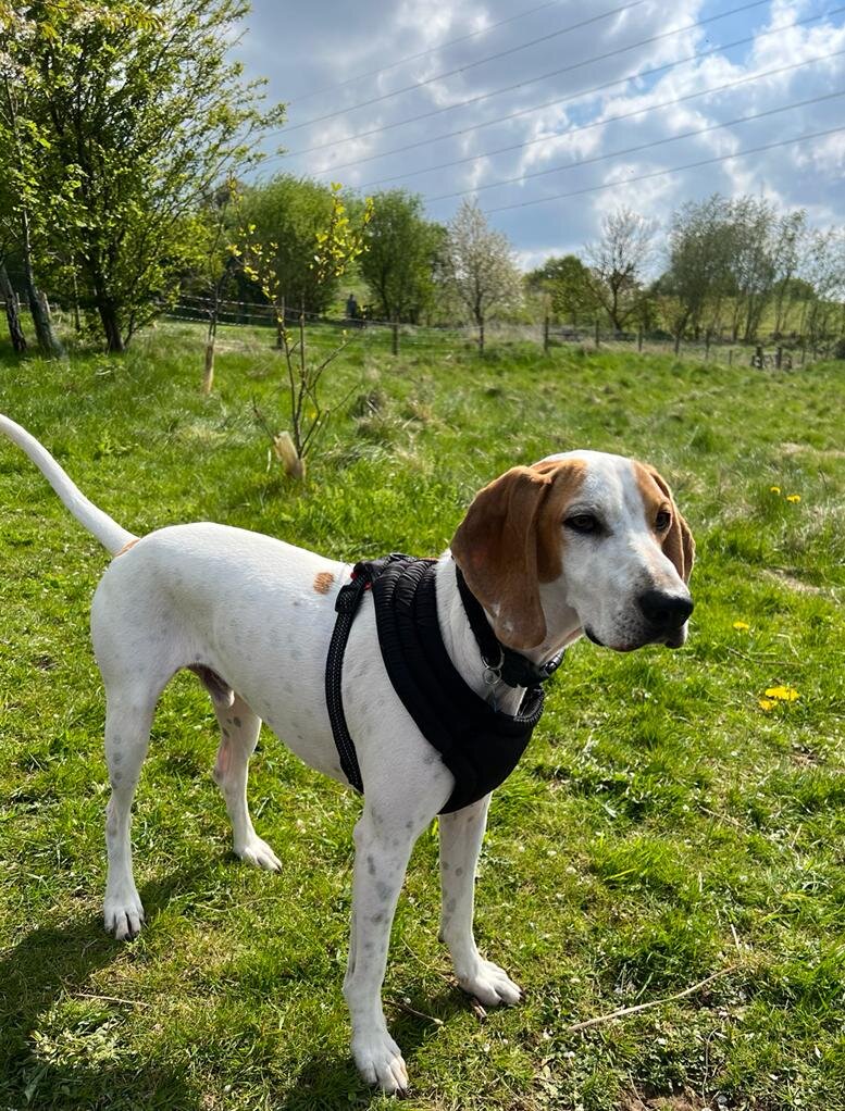 9D3FE543-6DB0-4CF6-9B05-D7CB350D1A18