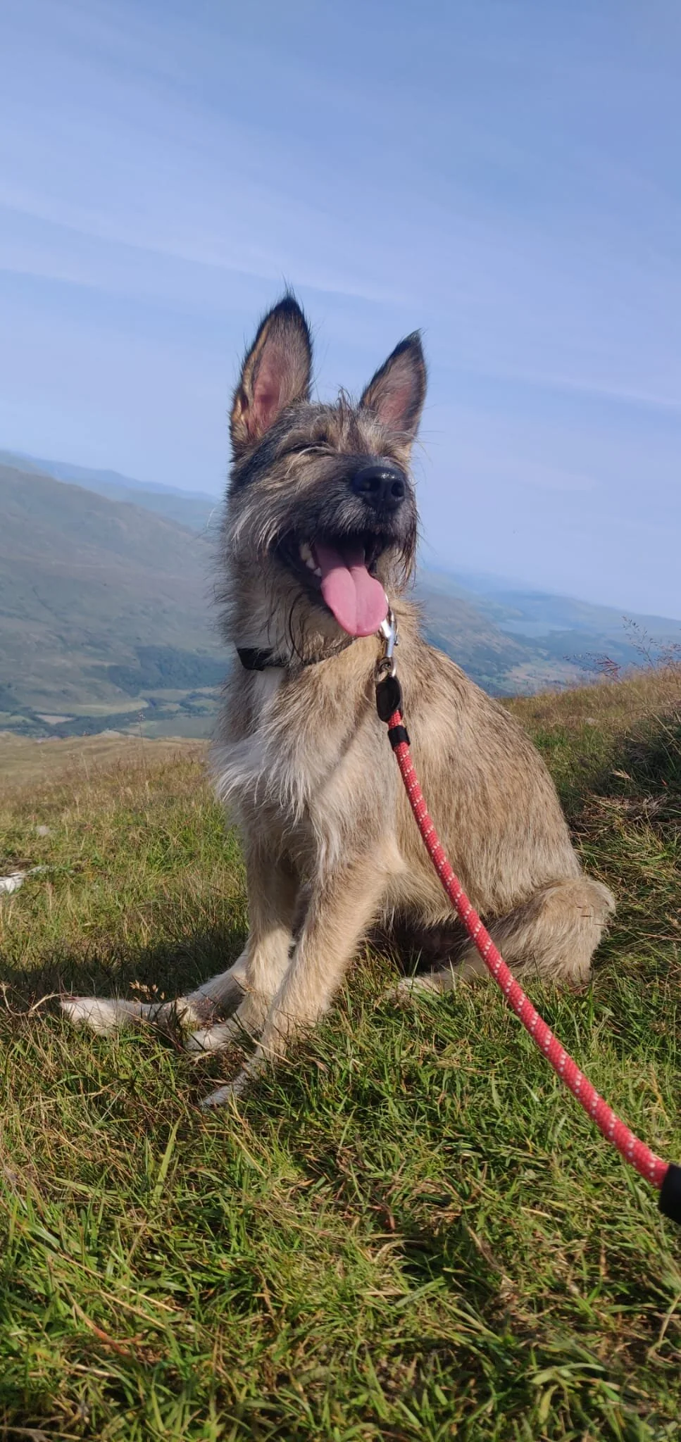 480BFD60-9EBC-414A-99B3-9D70E62A6975