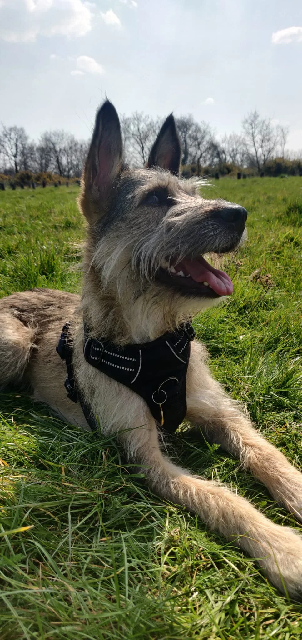 754C9A1A-9D90-4A18-8971-785FD376C705