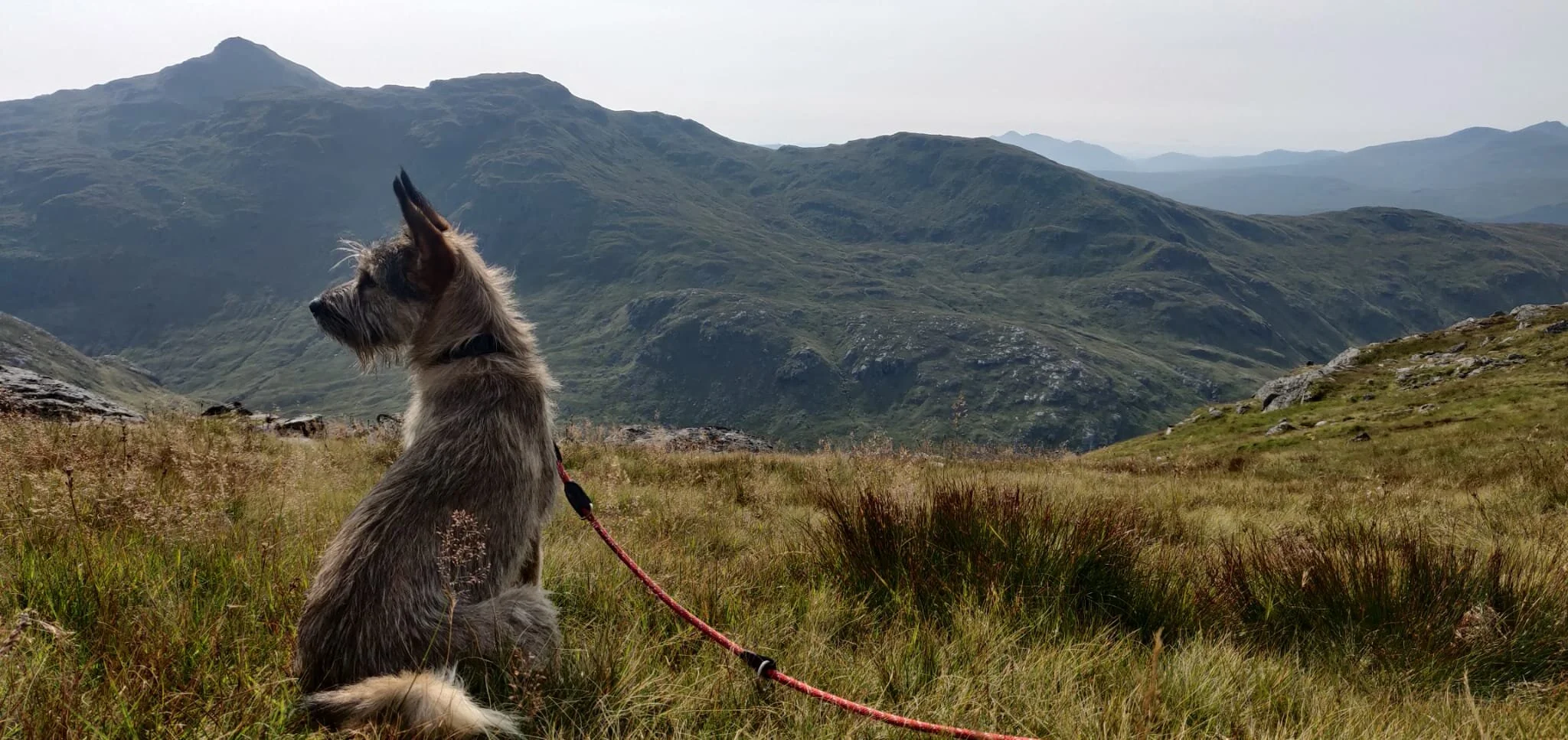 4F7A72C9-29DC-4930-958A-C5741B4E2899