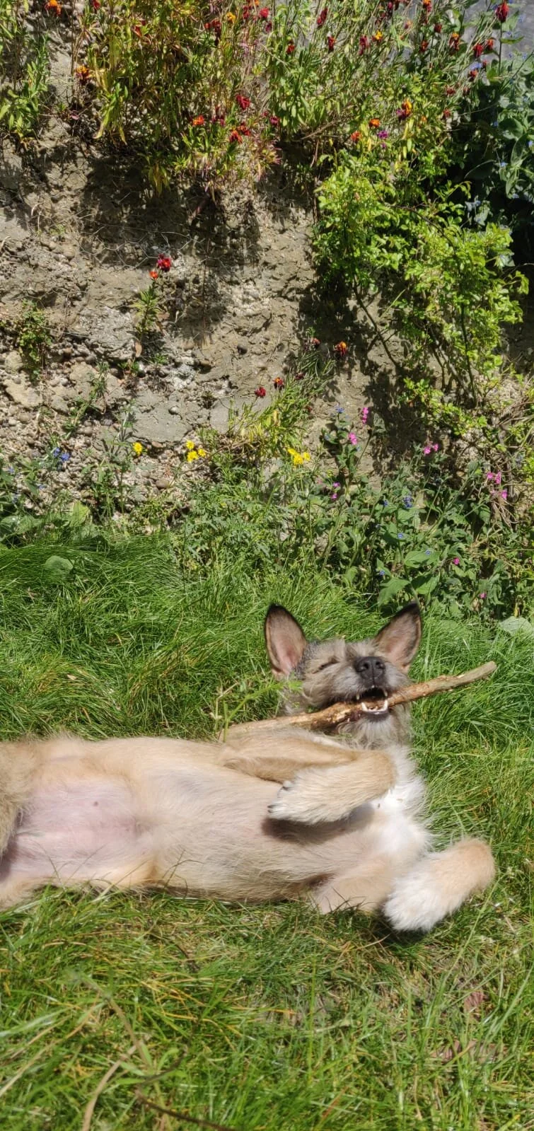 10859ECF-8E26-454E-BAD3-C8C627D9D5B8