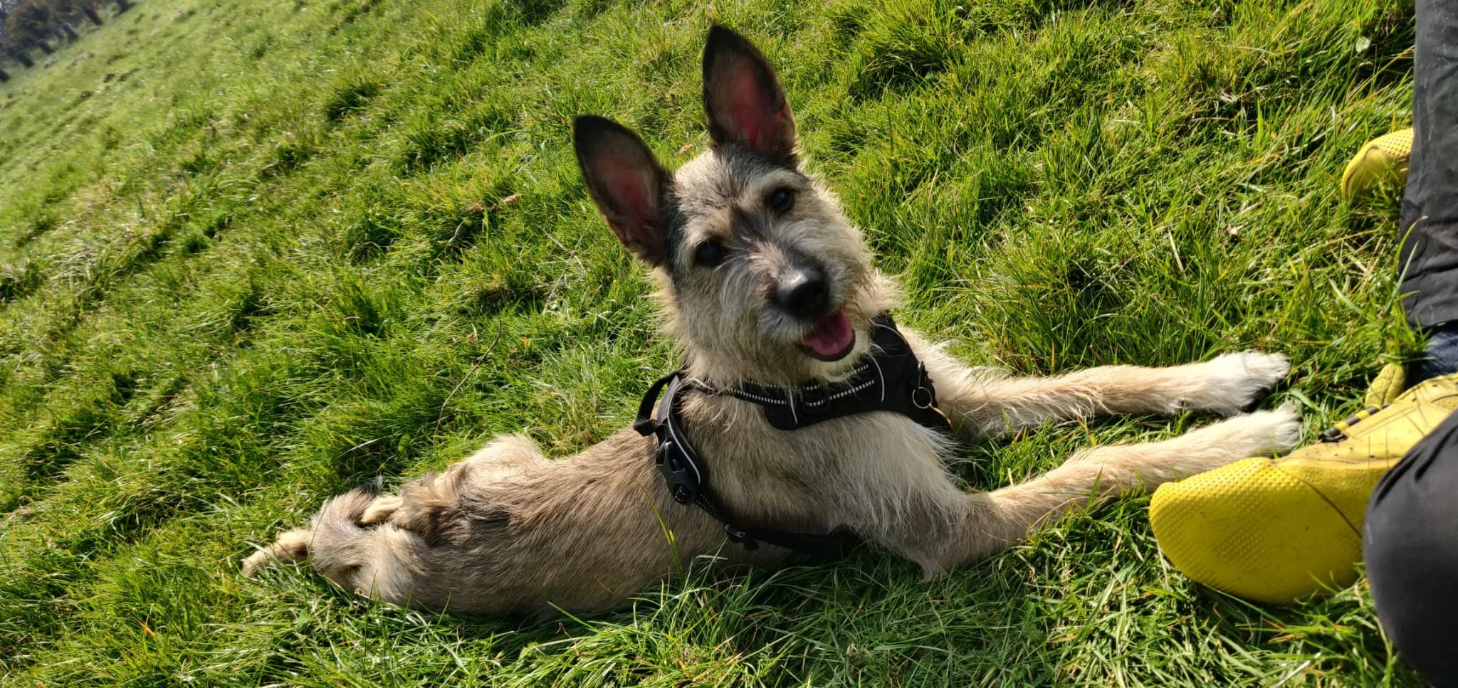 E034C848-6AD4-4A46-8130-9449A5D86EA0