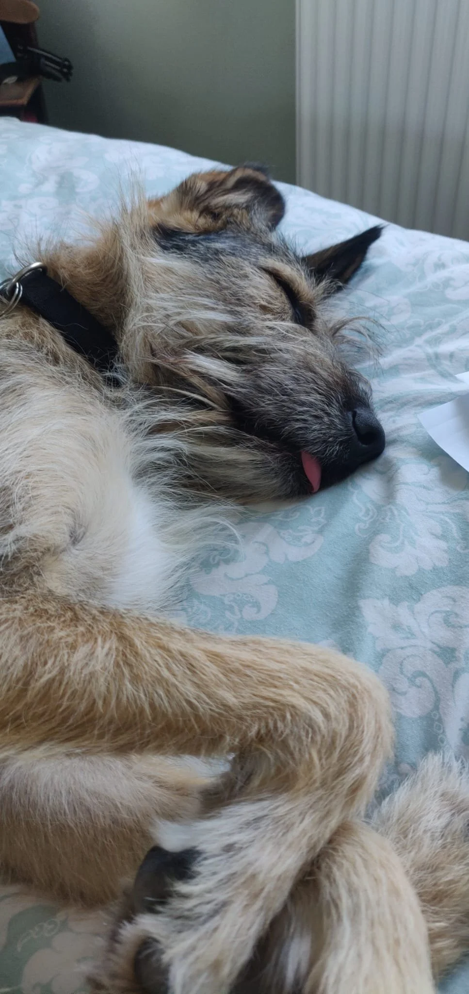 5B8081F1-D224-43B5-9F86-7BF4D388B52B