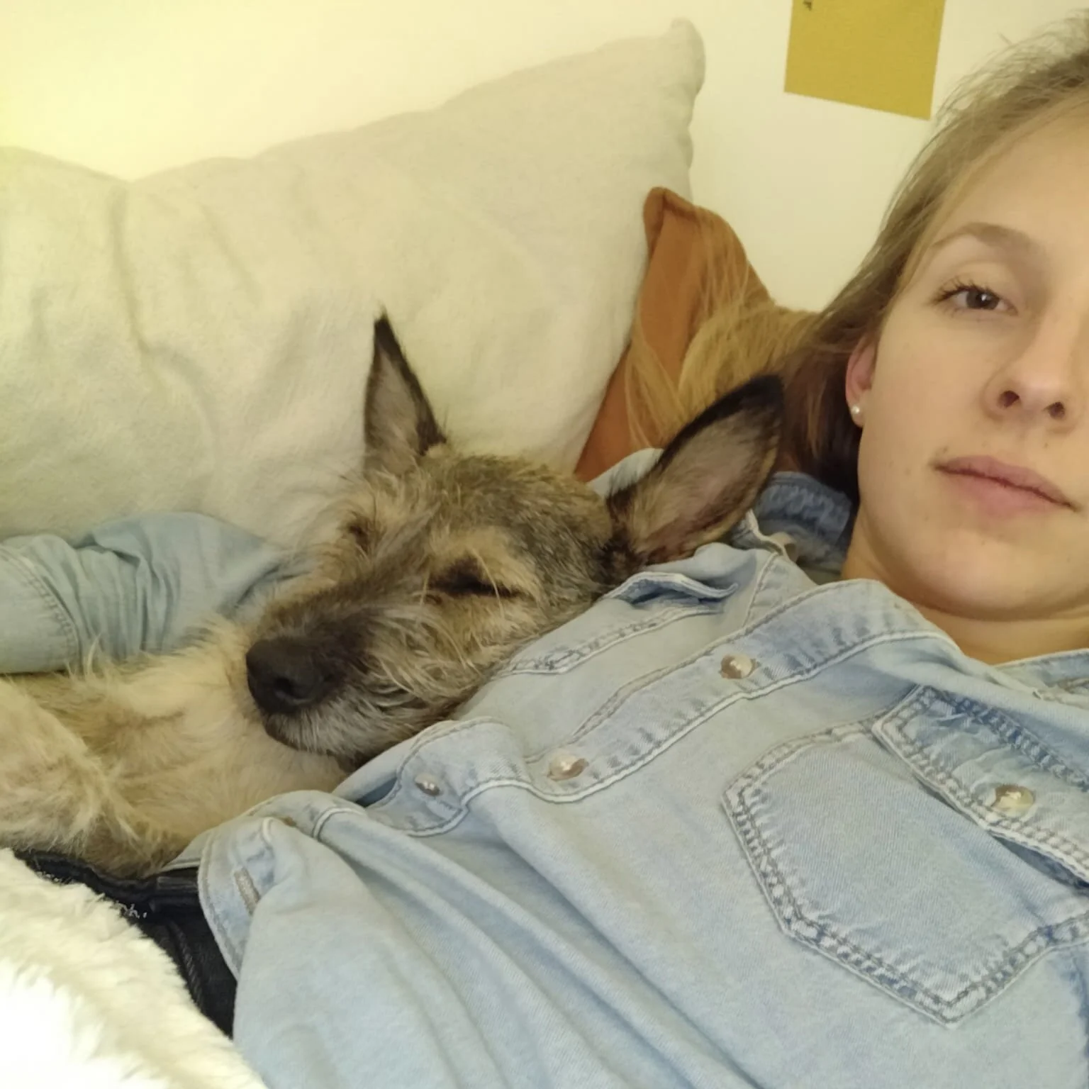 D2446CA2-3414-4DD6-9CE0-21D2D0D176B9