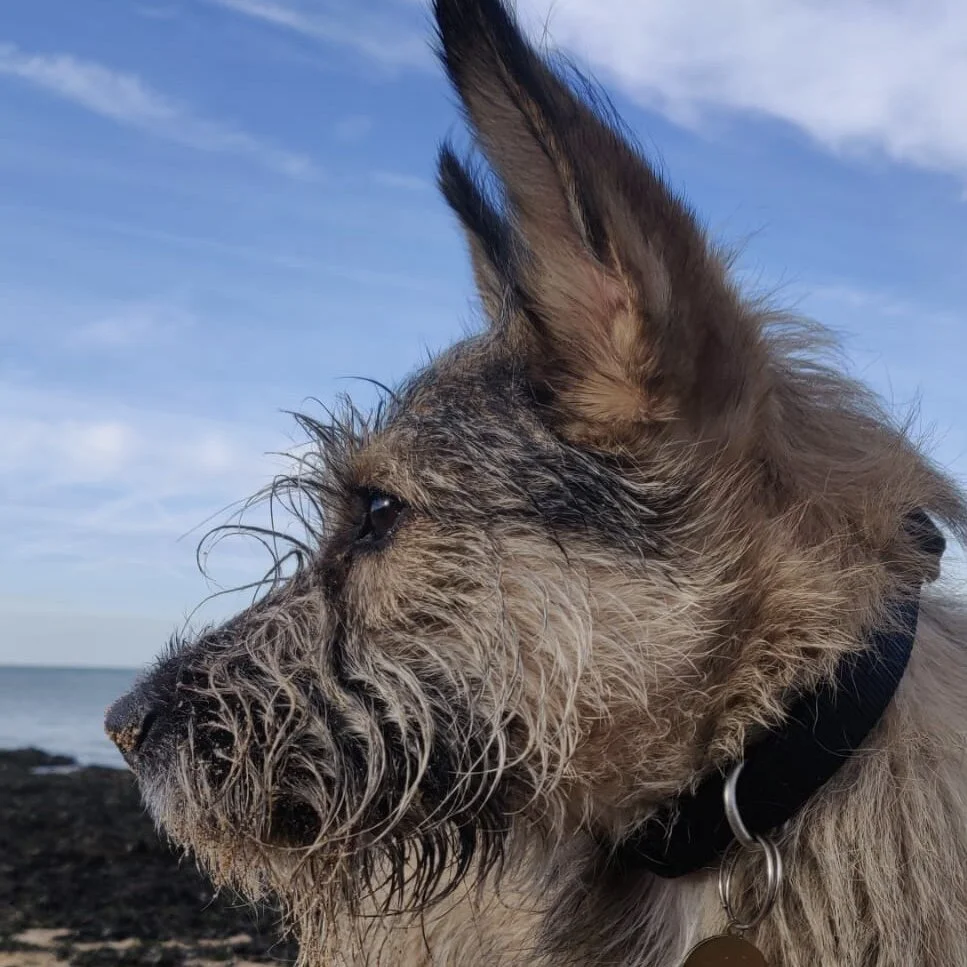 F0845549-A317-4E61-8120-C92596CD2AC9