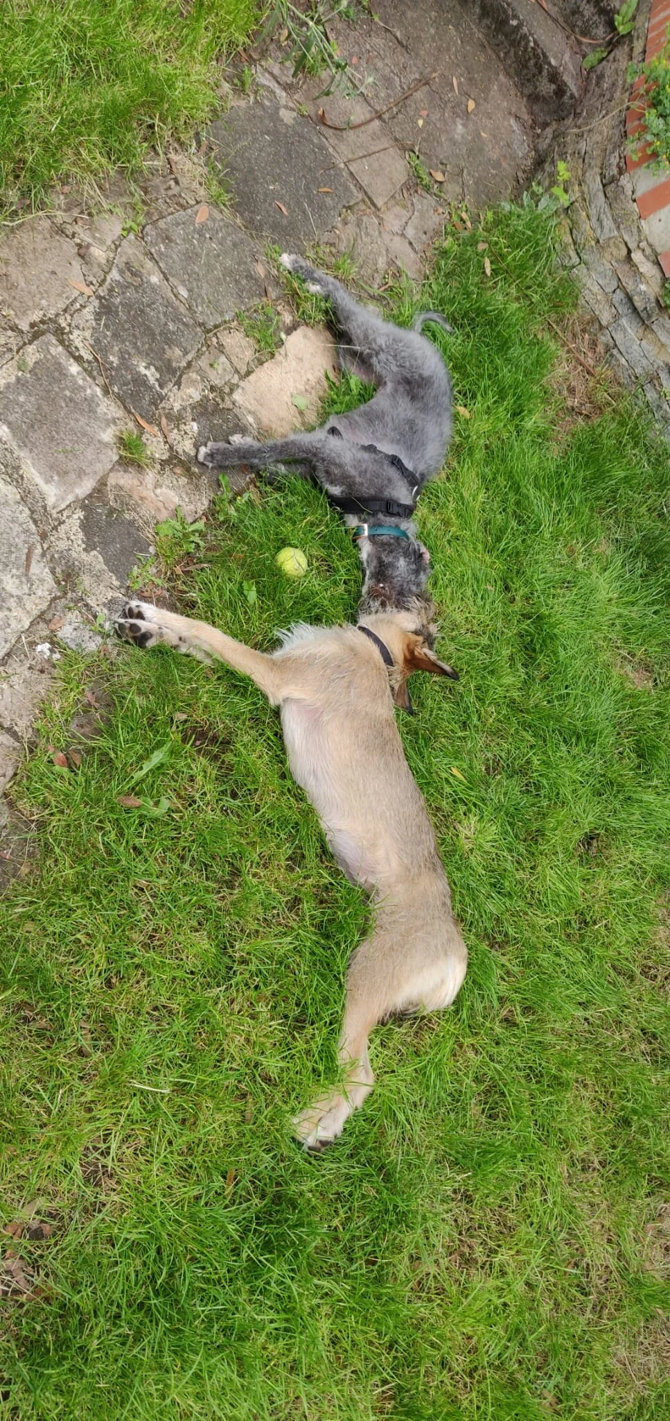 96A129F5-52F5-45AE-9132-79CE9CC1A4EA