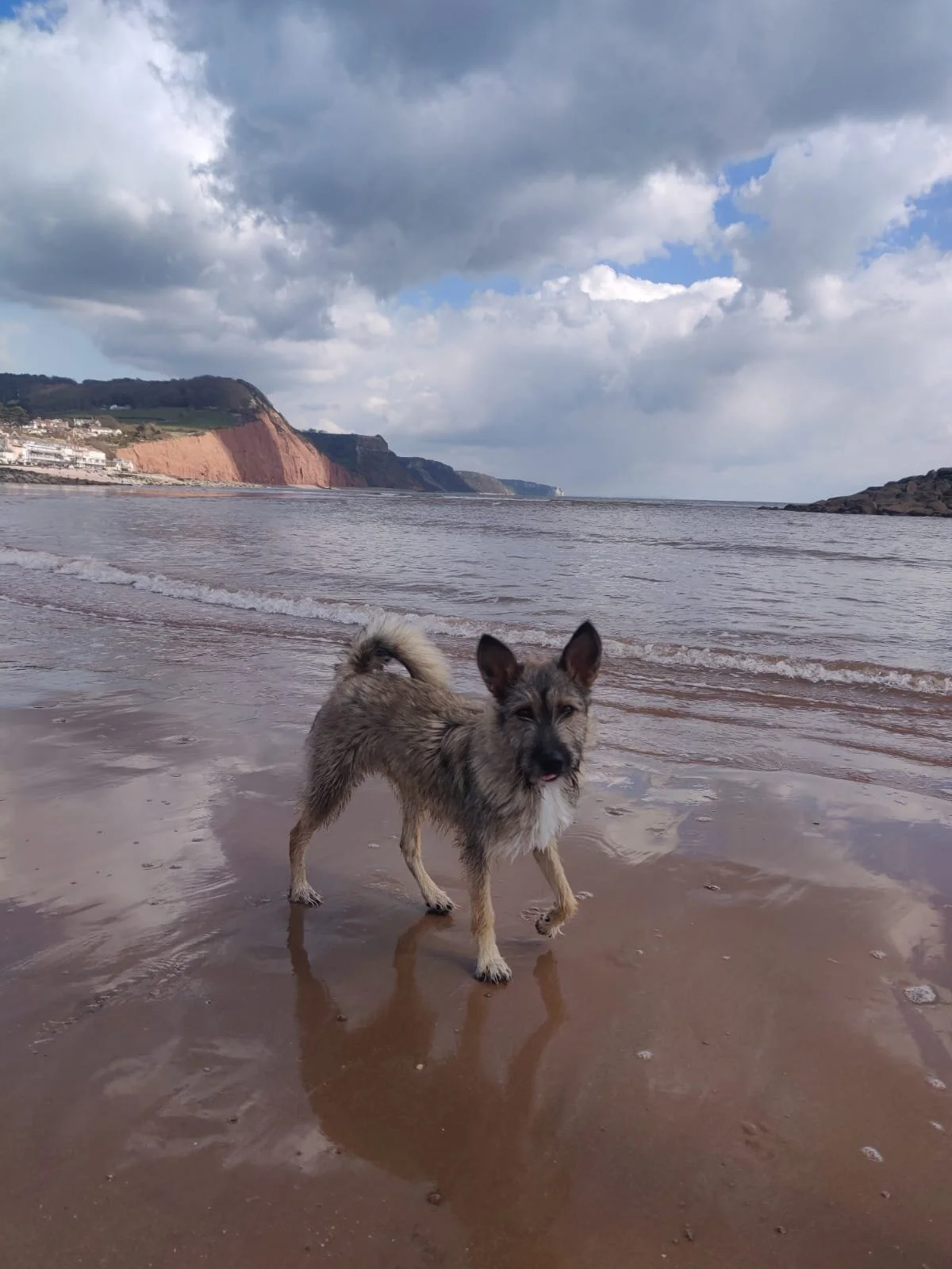 A41EF33D-6650-4B6B-A879-AF9F21B1B1F4