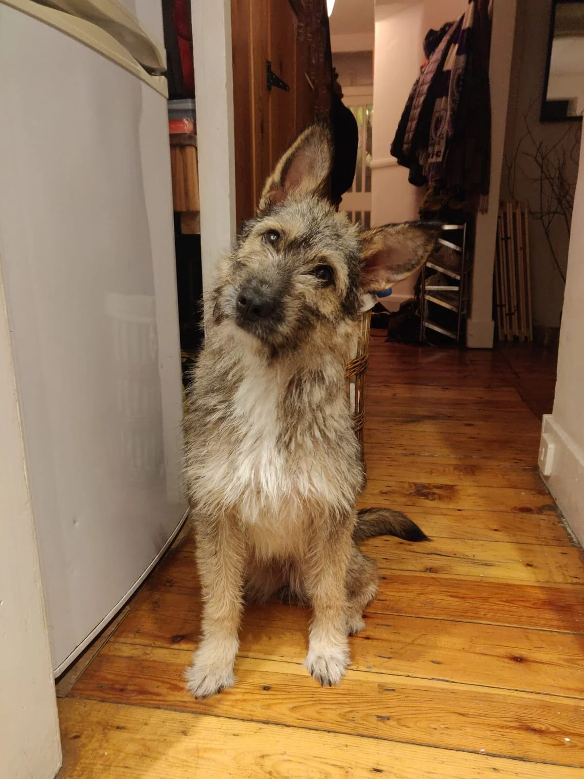 72DB983F-F7E5-492E-A64B-2A1D1BD8C609