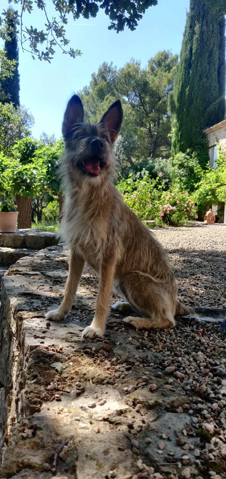 CBD549BE-4A83-49F9-B818-5B866EF91C2F