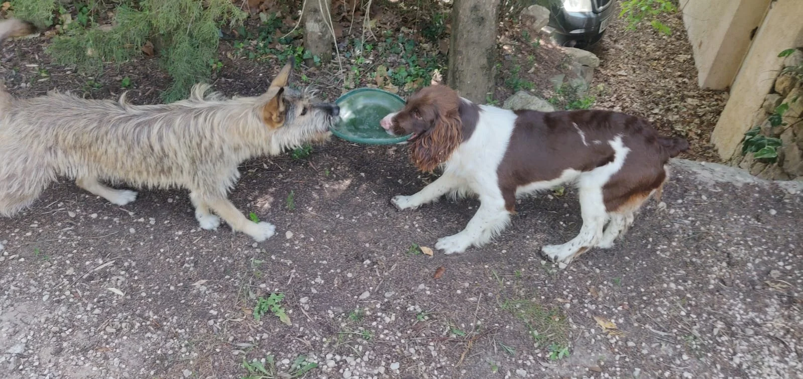 07E13317-4591-44A7-B521-9E479146B637