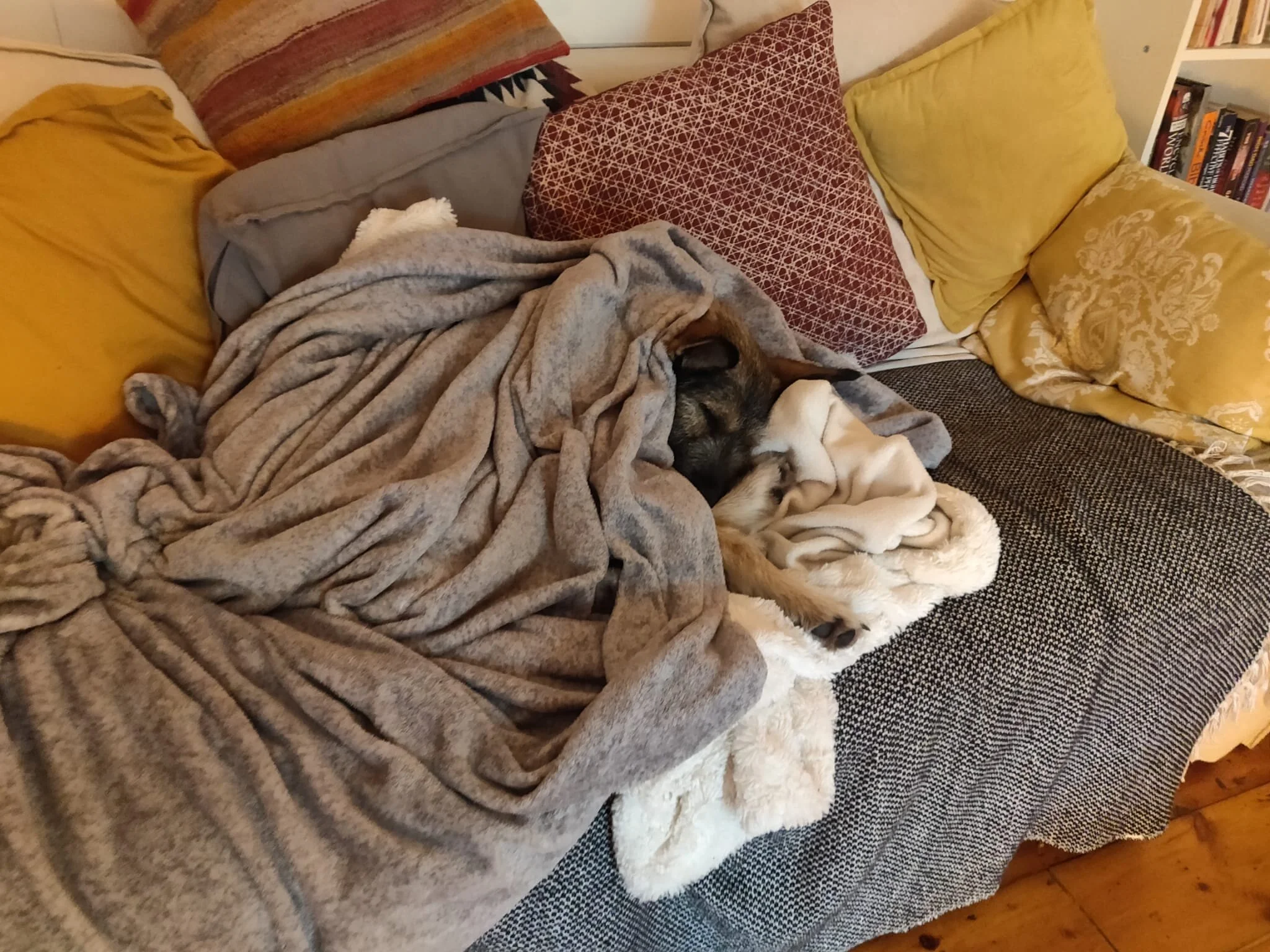 9F11C8C1-82B5-45D9-B009-661D4A6A8DFA