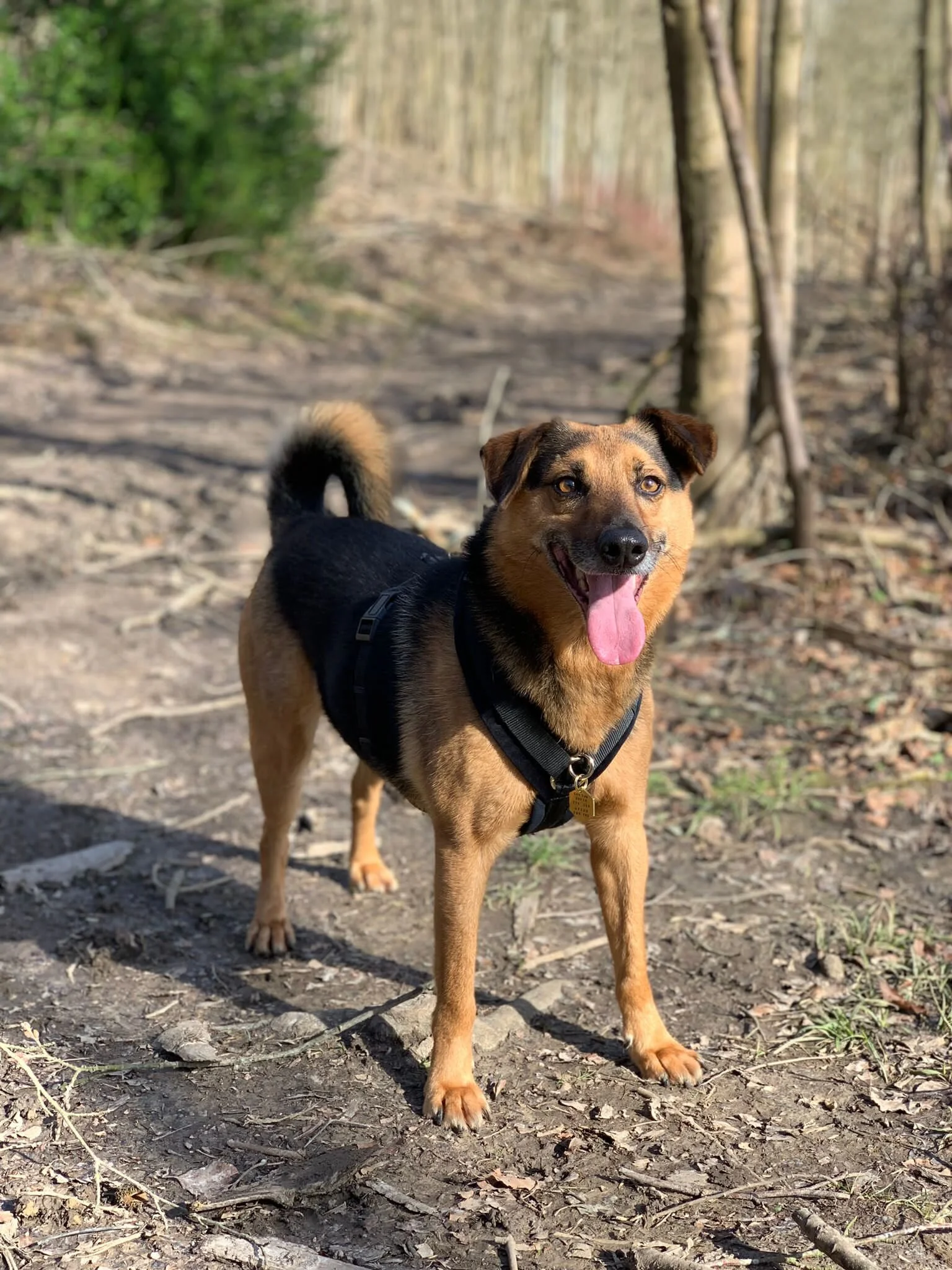 69802E54-35FB-4A4F-8506-E837CC9C33FA