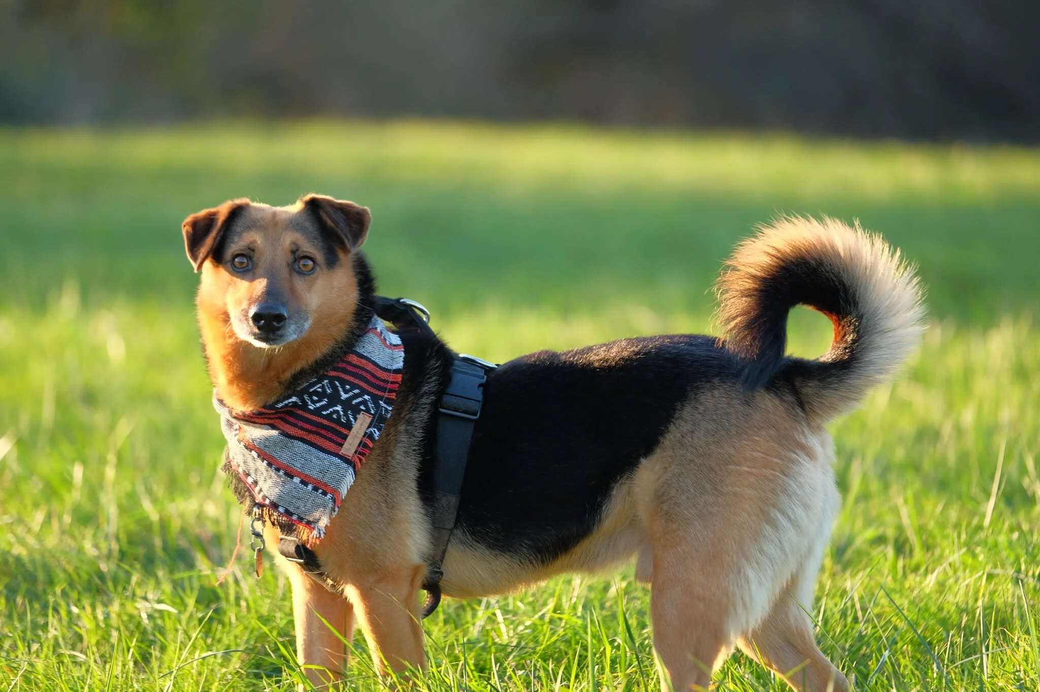 CC172F8D-09E2-494B-8008-78D0BE099917