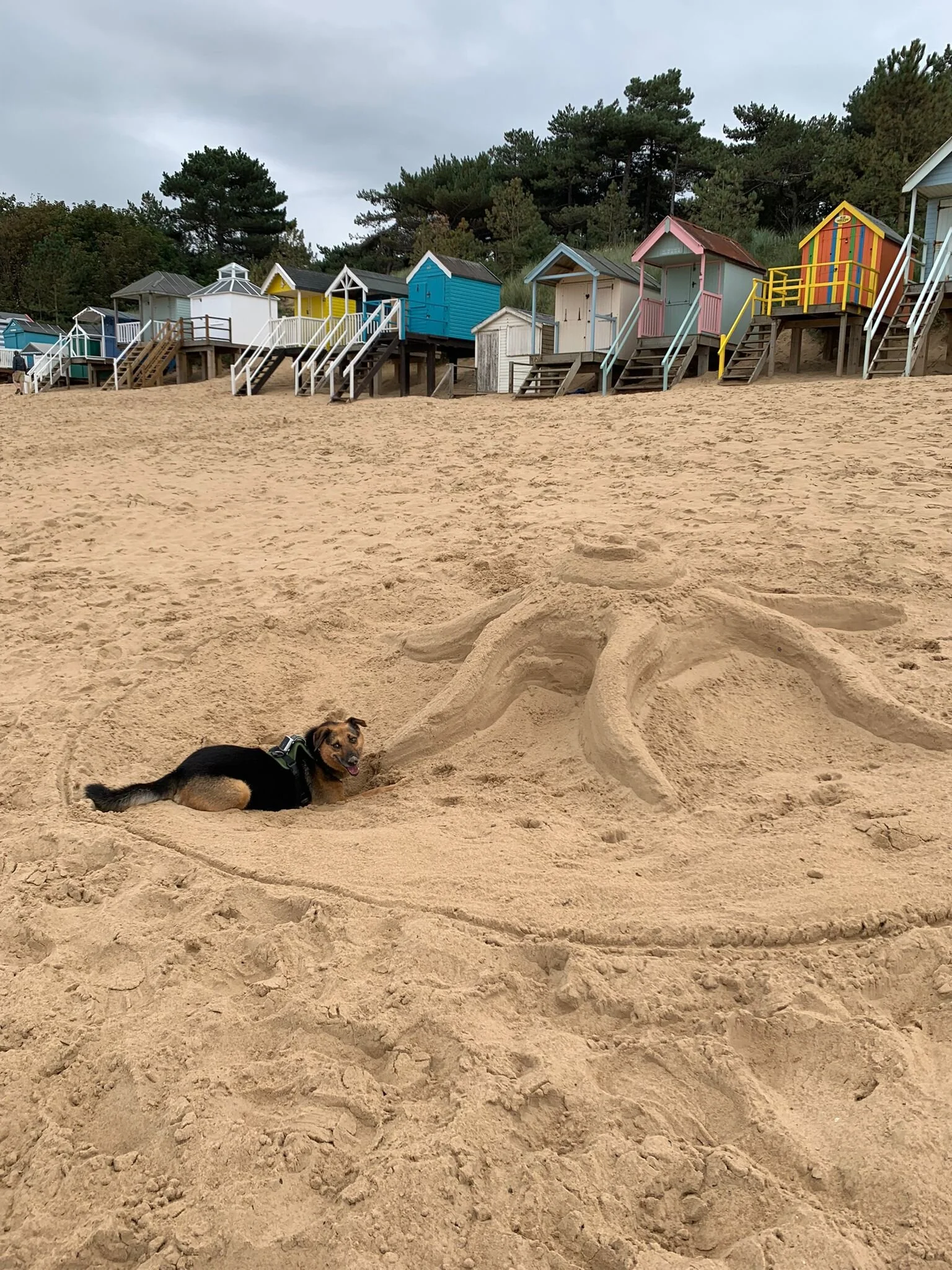 6C7E7DC6-B65A-4CDA-8D06-947DAA6D5AA3