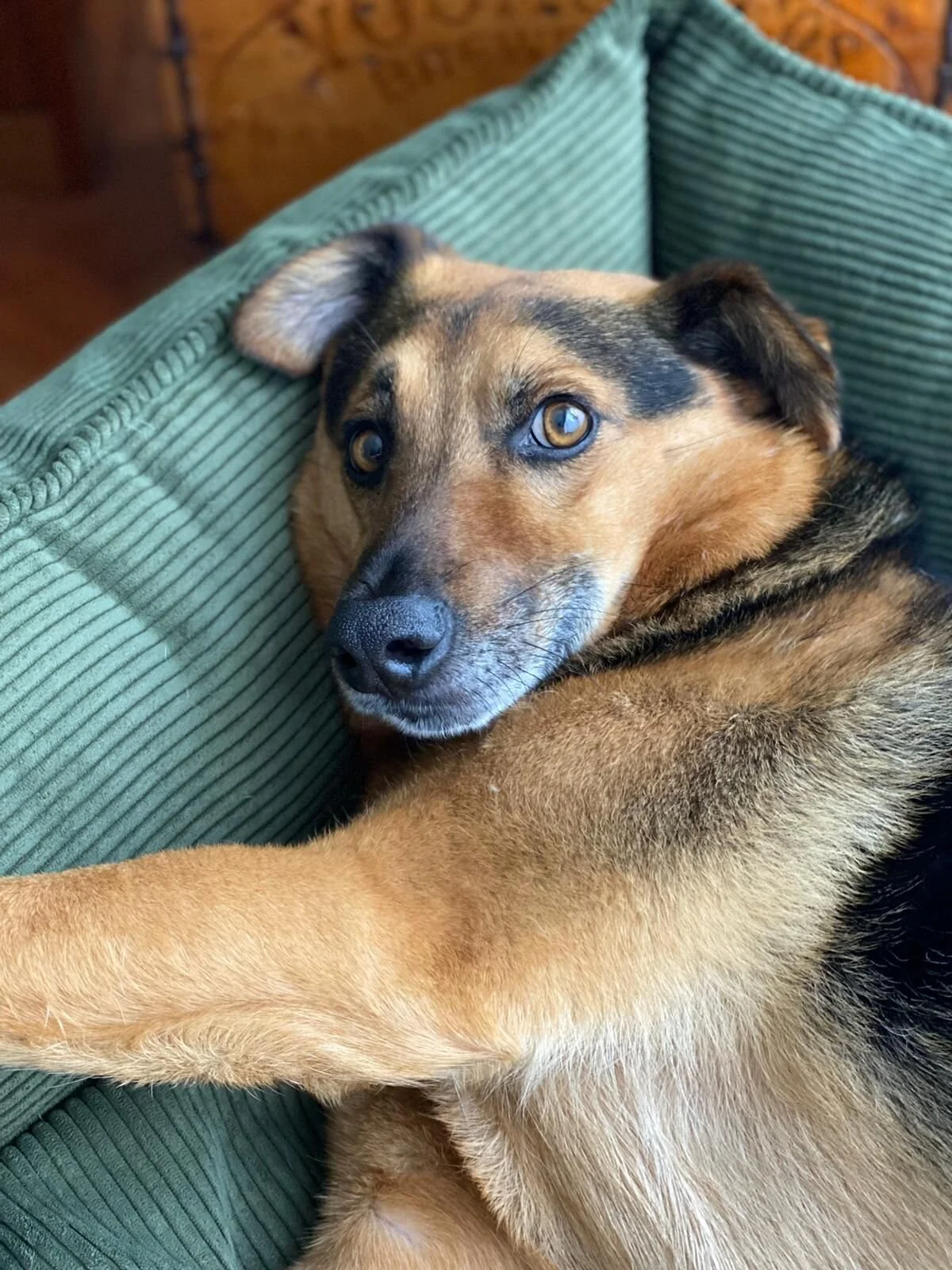 C5A65FA0-E78A-478F-90A5-9E2A524191BA