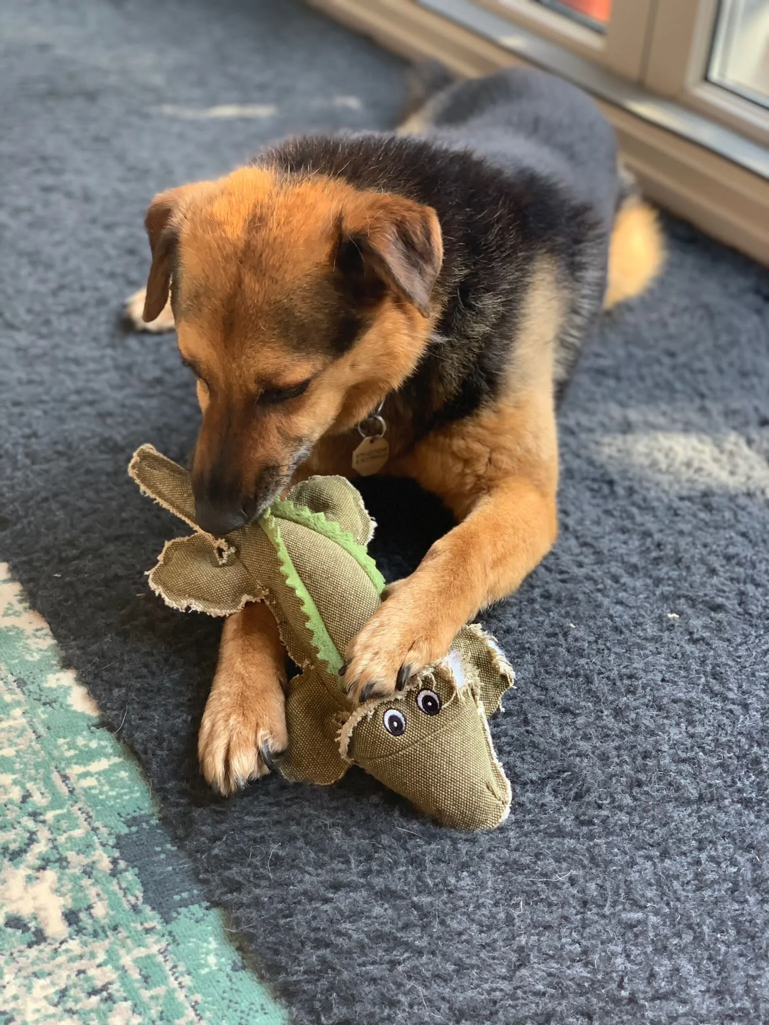 2A6D03CC-6D3B-437B-9CFC-1EC8D96005FC