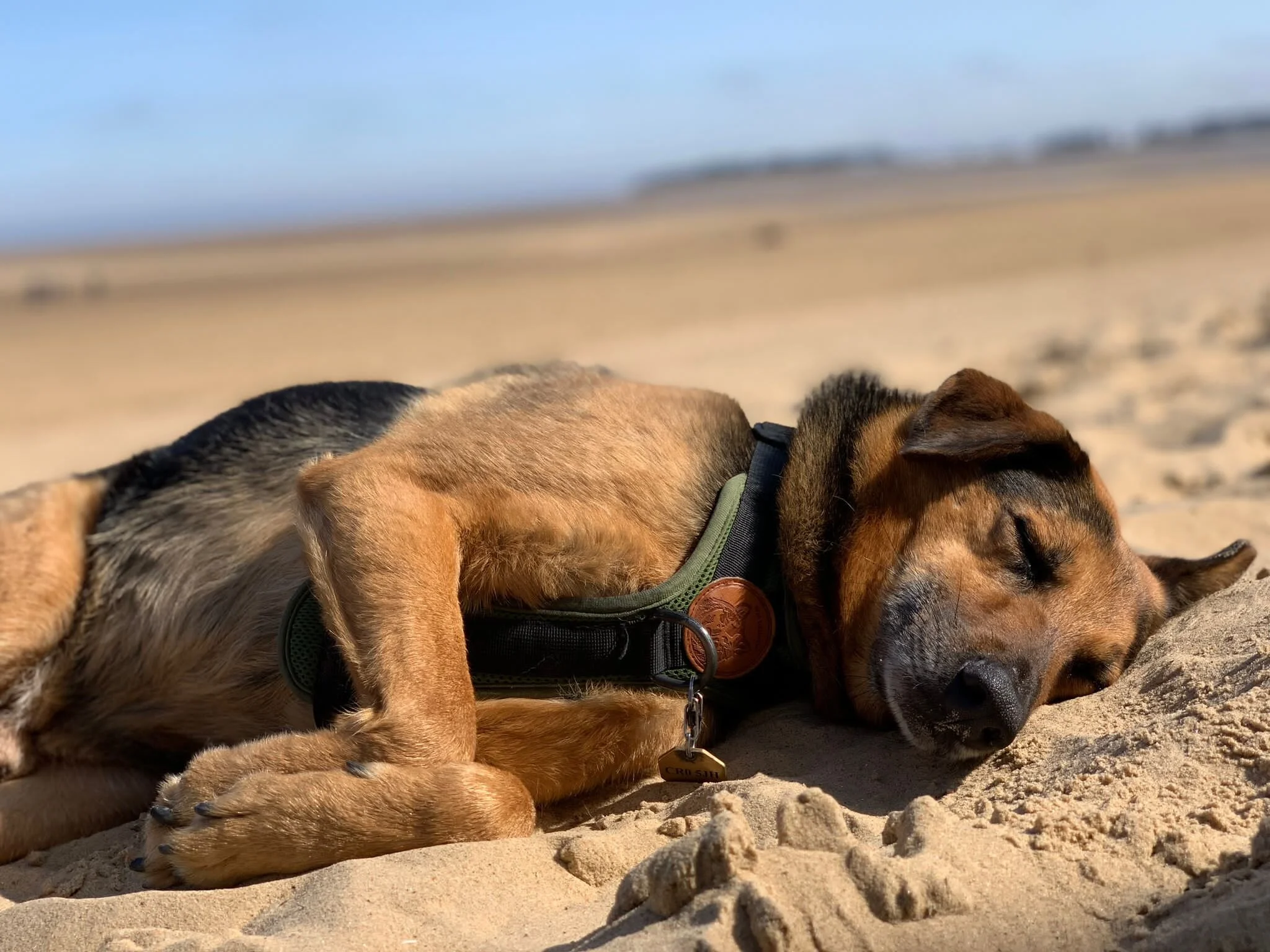 5796A84F-EC96-48A2-8119-524CC74D38D1