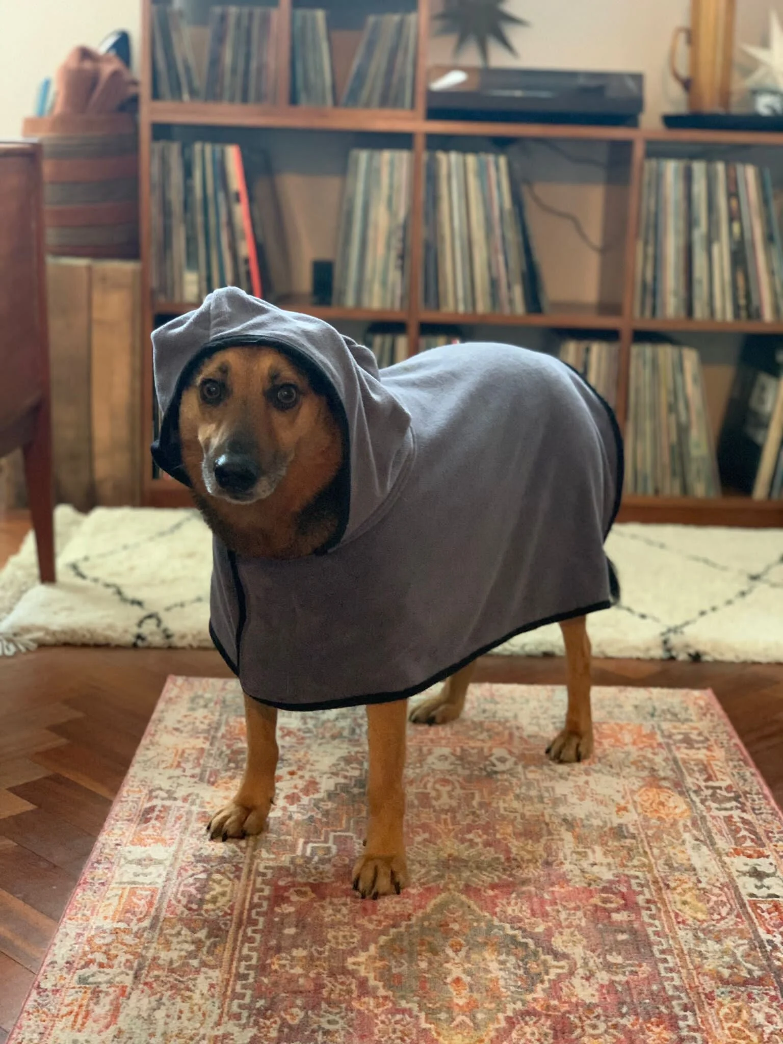 F37B9CF1-5343-4FC7-B793-49218C376A00