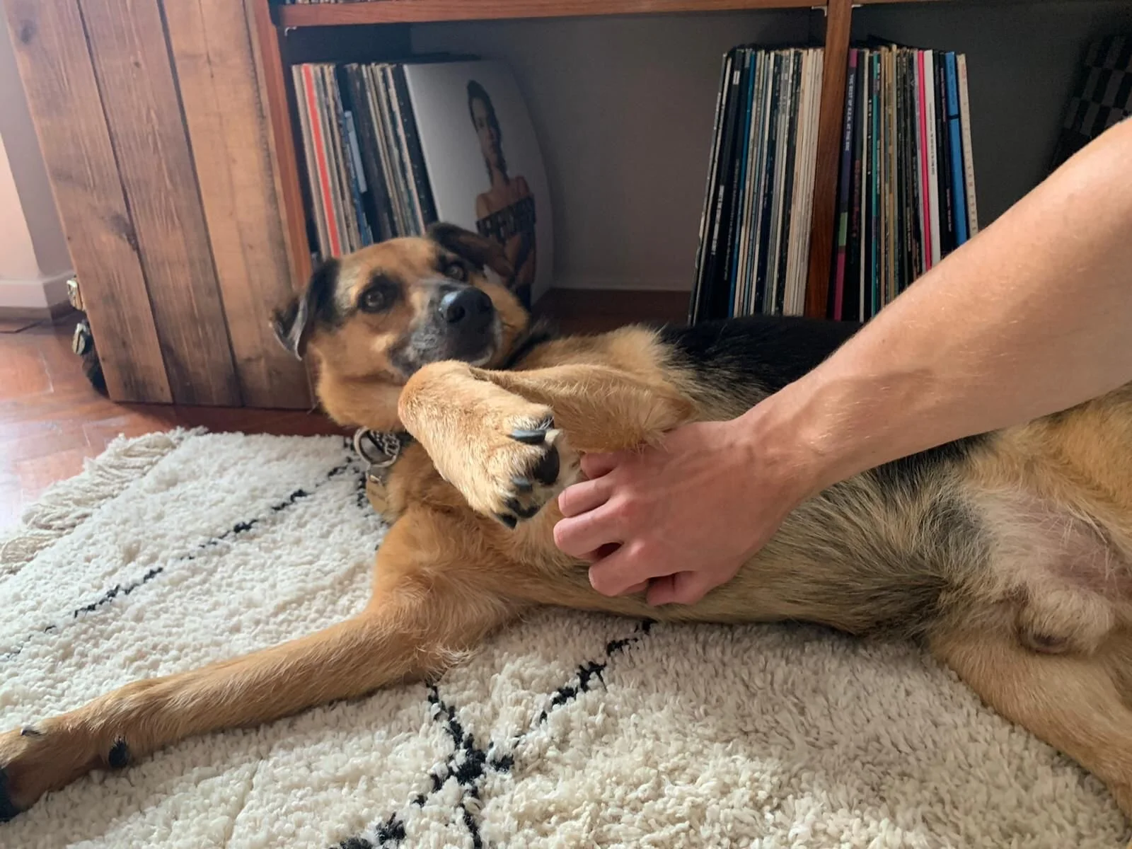 EB34E286-7995-43B9-BE25-2842BCE8905C