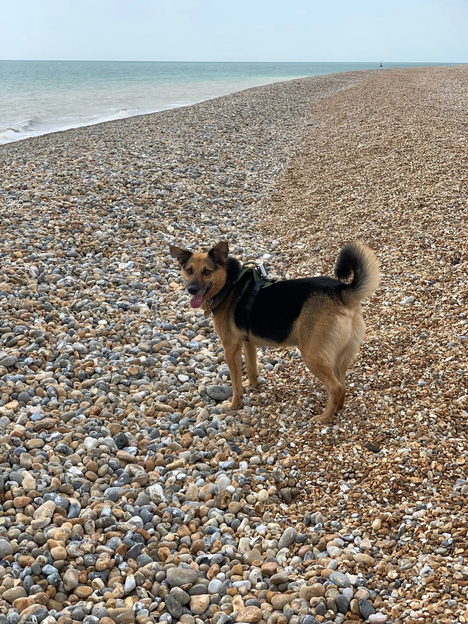 A8AACF8C-59A1-4DC8-8B53-195F713127B8