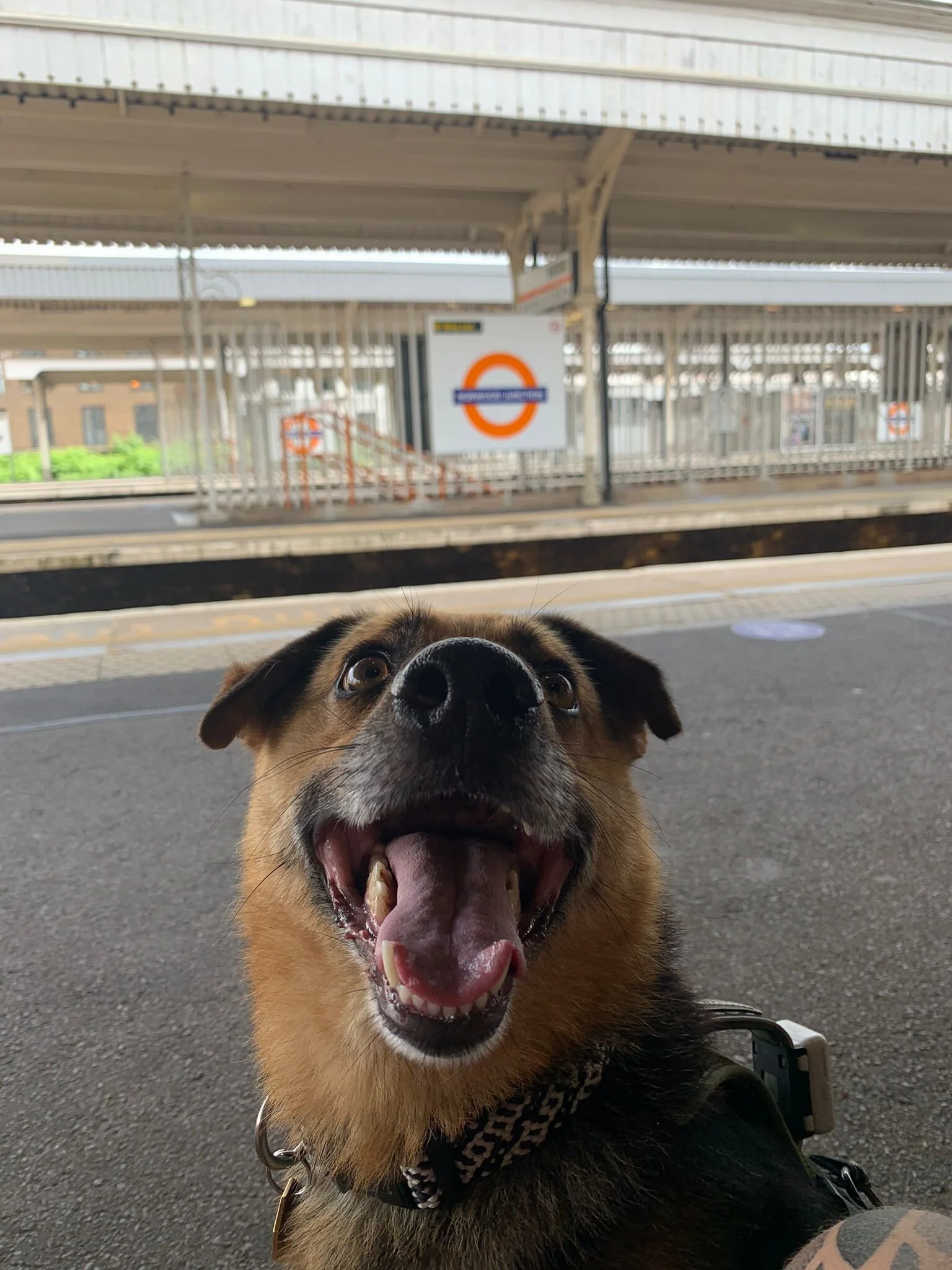 E39170CC-121F-42F1-8472-7F63CFEF3A19