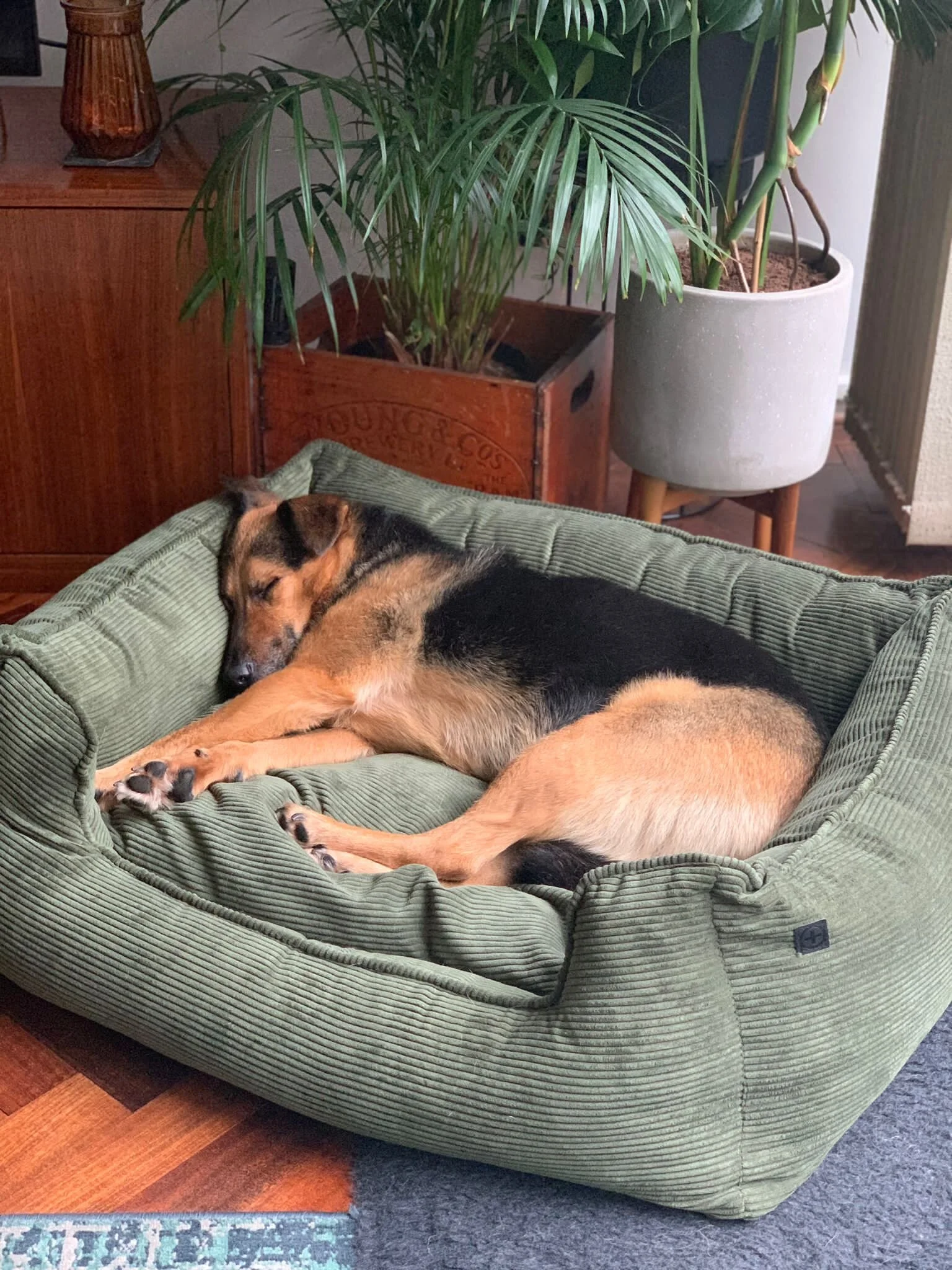 512B8F8D-9B19-4DD6-A89A-ECD6D5498D65