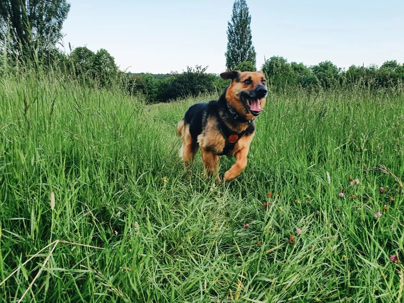 70EE30AC-F82C-4AA2-BBEB-4E3B02F1DDFB